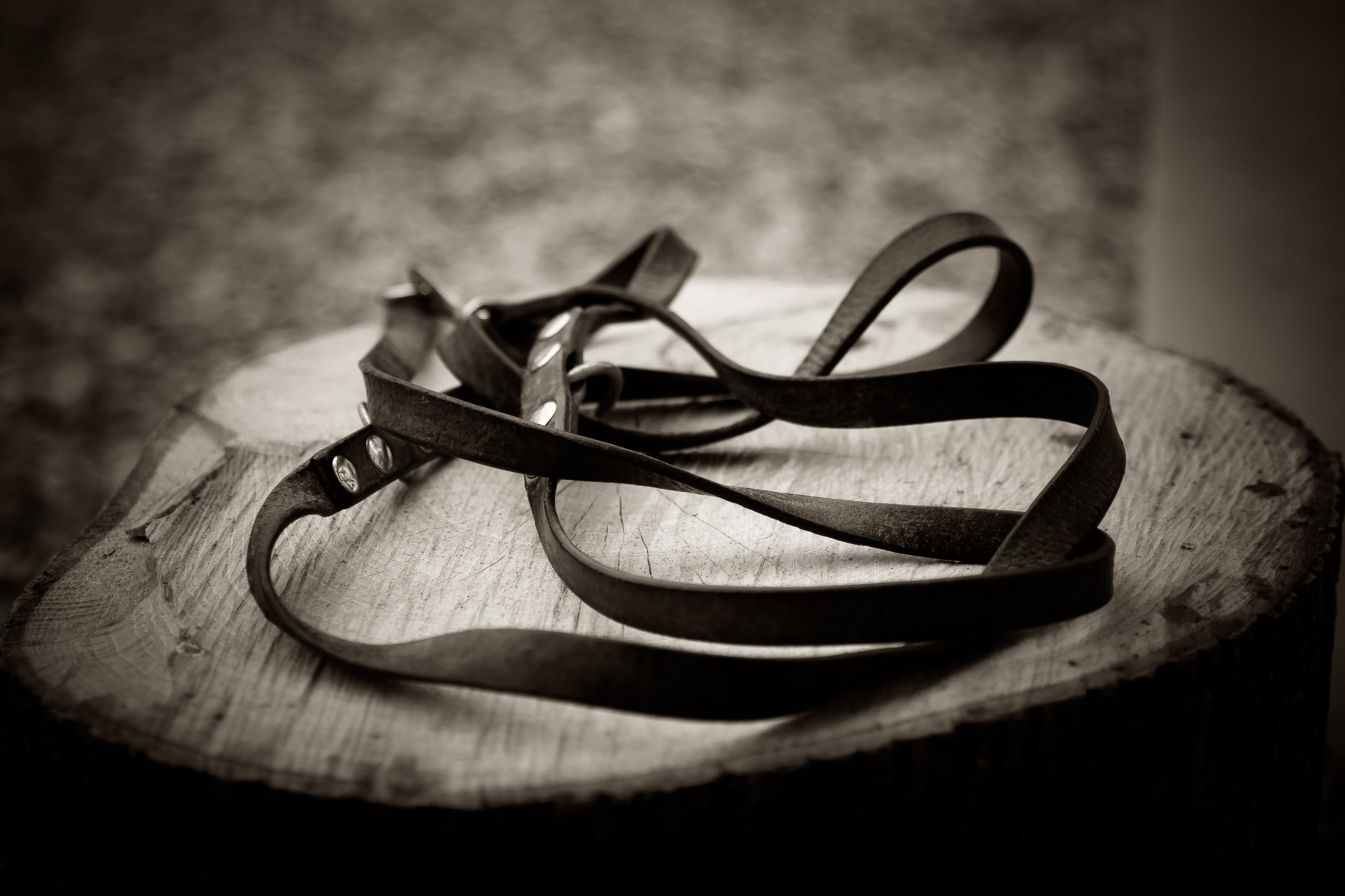 no people, glasses, personal accessory, absence, two objects, faxe, shoe, old, vignette, selective focus, dog, 4K, still life, simplicity, eyeglasses, HD Wallpaper