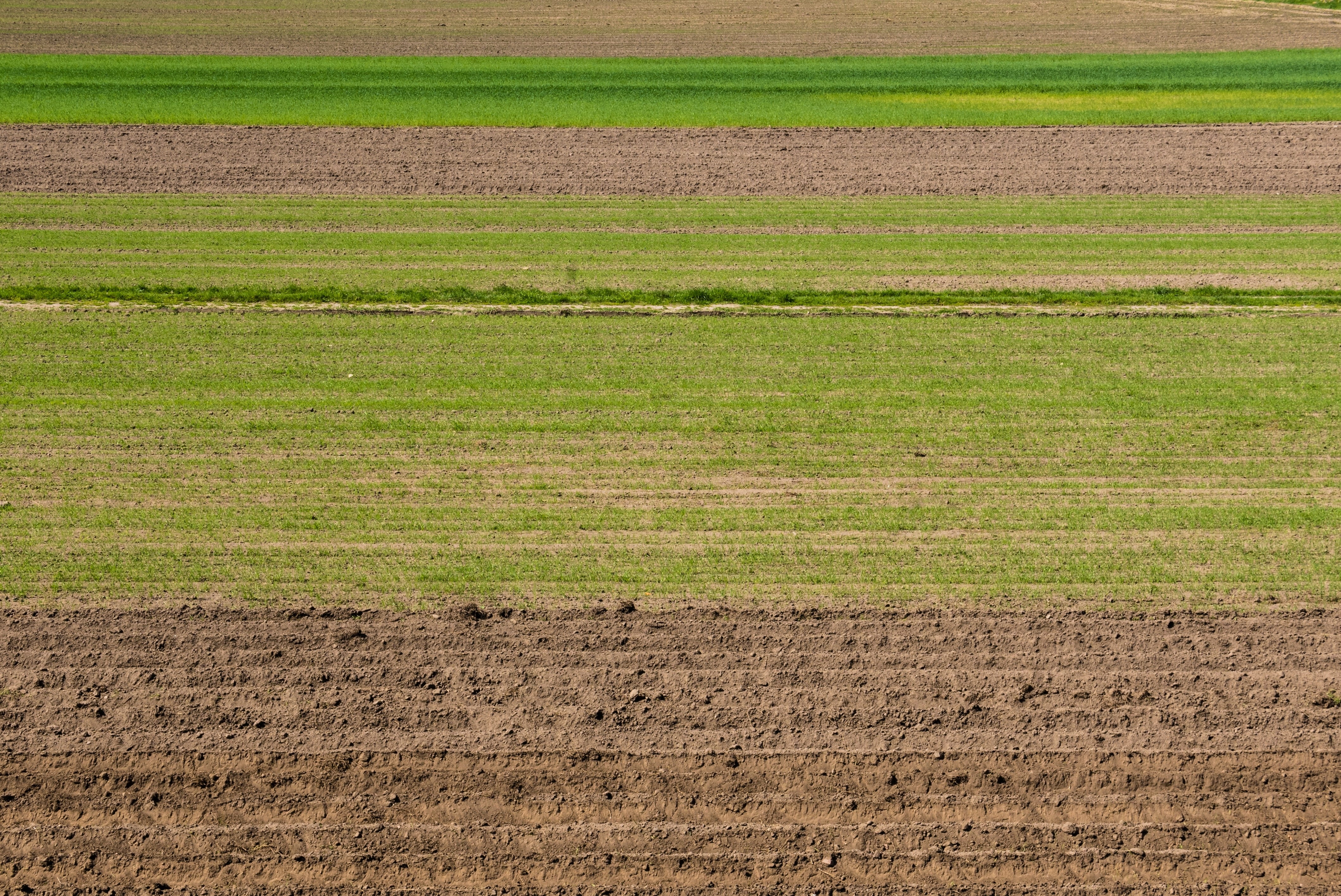 ground, stripe, brown, farming, countryside, soil, outdoors, grass, beauty in nature, field, outdoor, mud, tranquil scene, culture, farm, cultivation, plant, HD Wallpaper