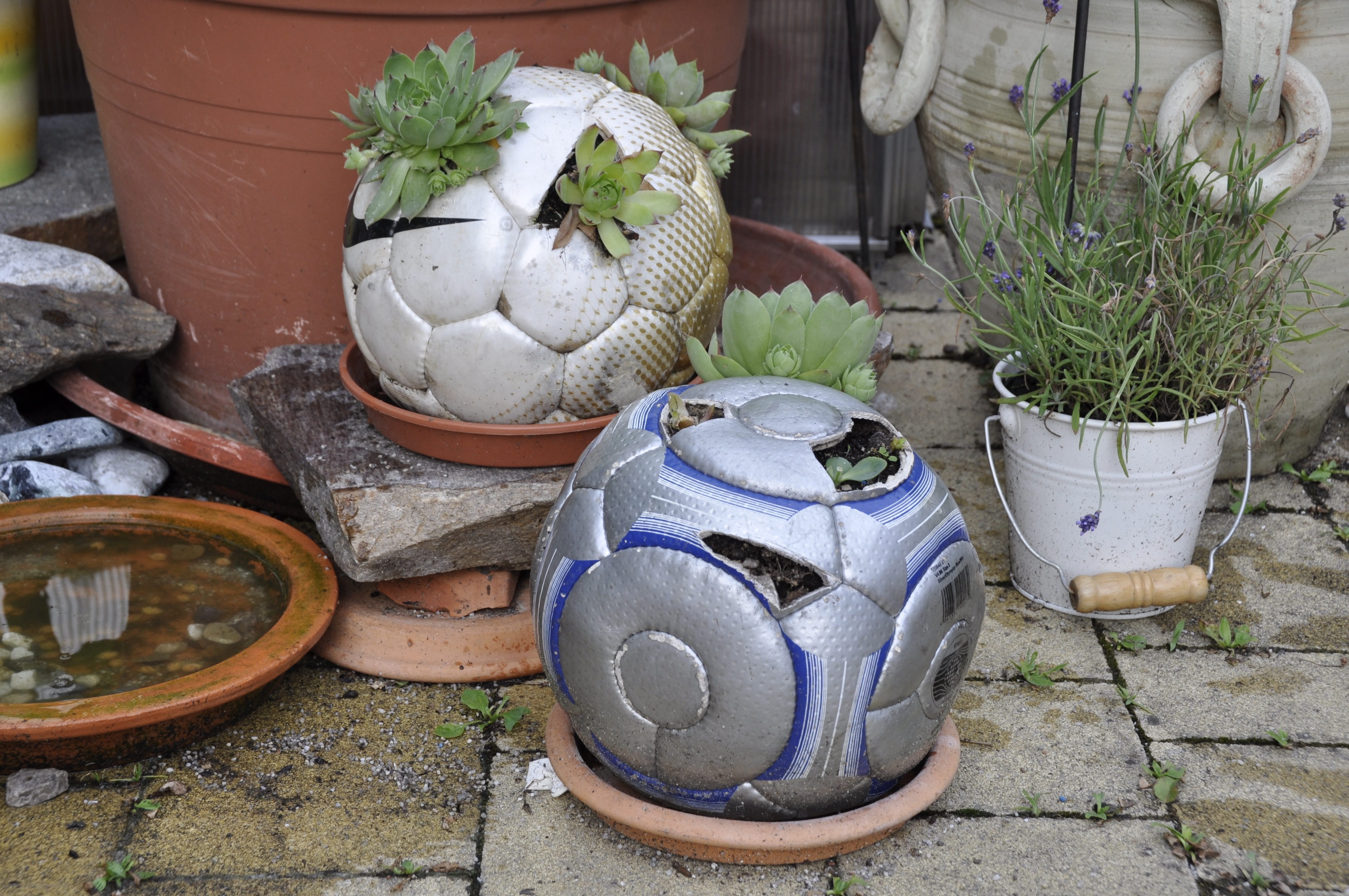 outdoors, football, plant, no people, basket, large group of objects, for sale, flower pot, nature, high angle view, leaf, growth, still life, diy, potted plant, HD Wallpaper