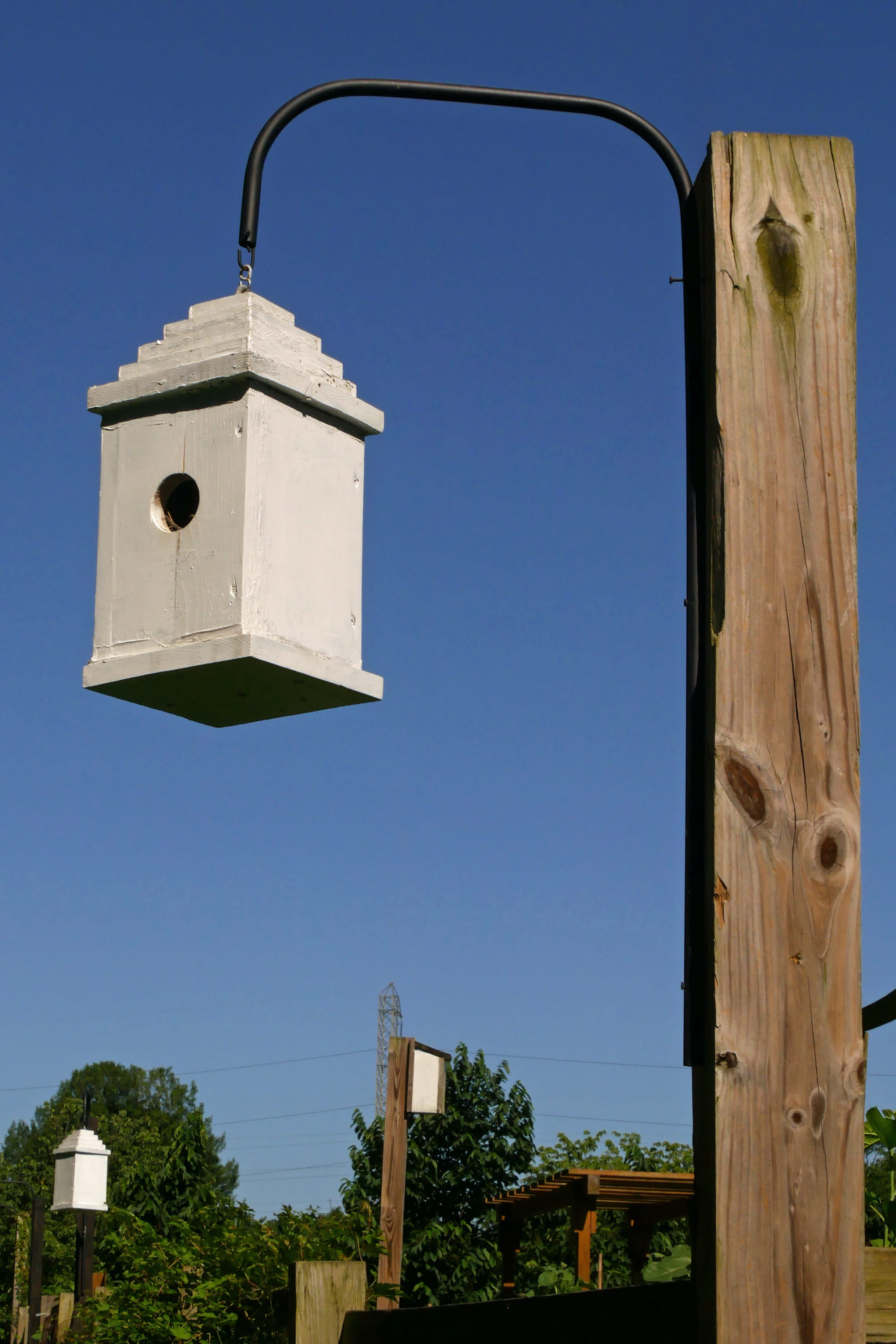birdhouses, place of worship, low angle view, sunlight, built structure, hole, housing, clear sky, green, blue, bark, birdhouse, day, outdoor, belief, wood, Phone HD Wallpaper