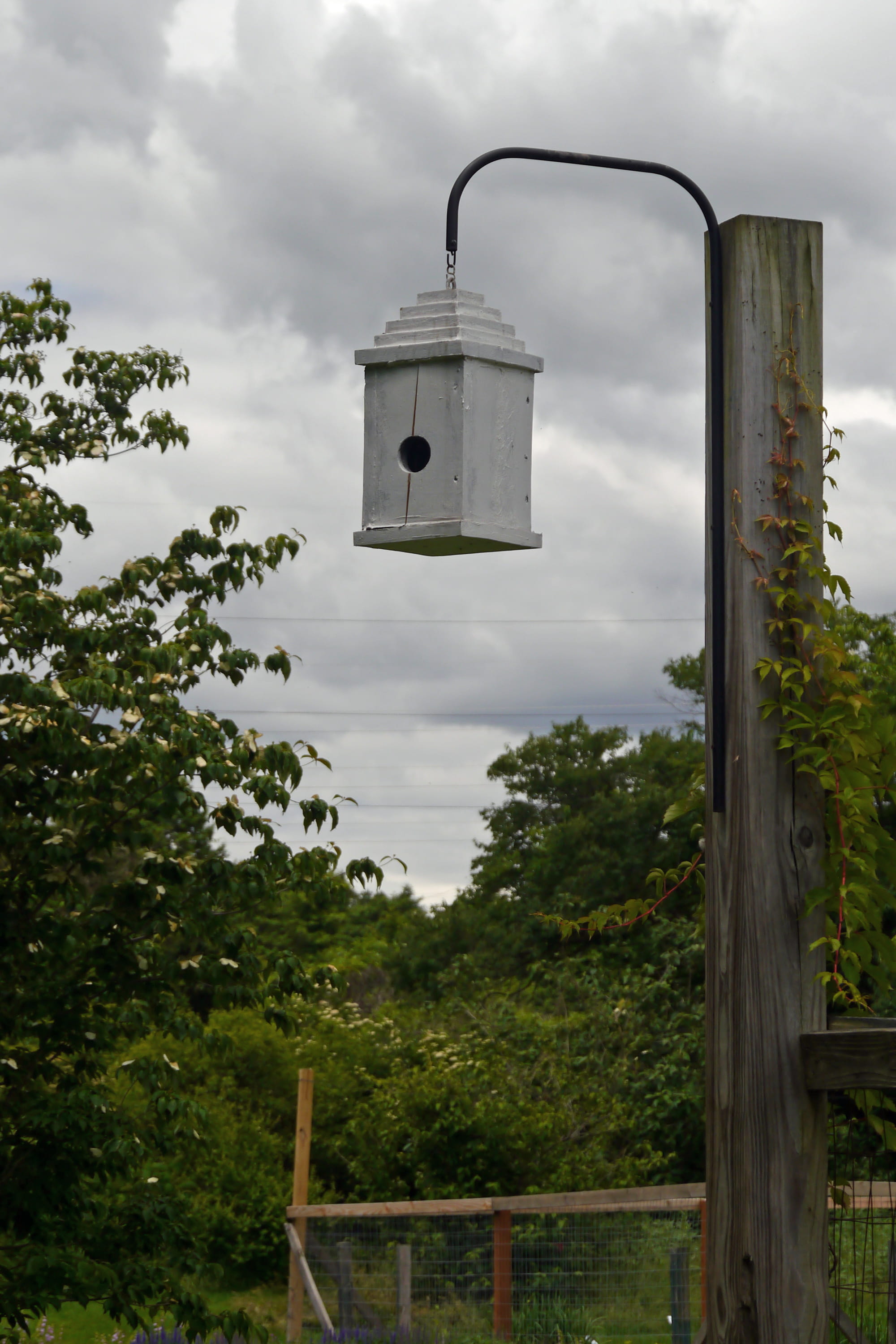 lighting equipment, trunk, 2K, homemade, green, outdoor, tree, housing, no people, bird, green color, sky, handmade, birdhouse, swift, nature, day, low angle view, Phone HD Wallpaper