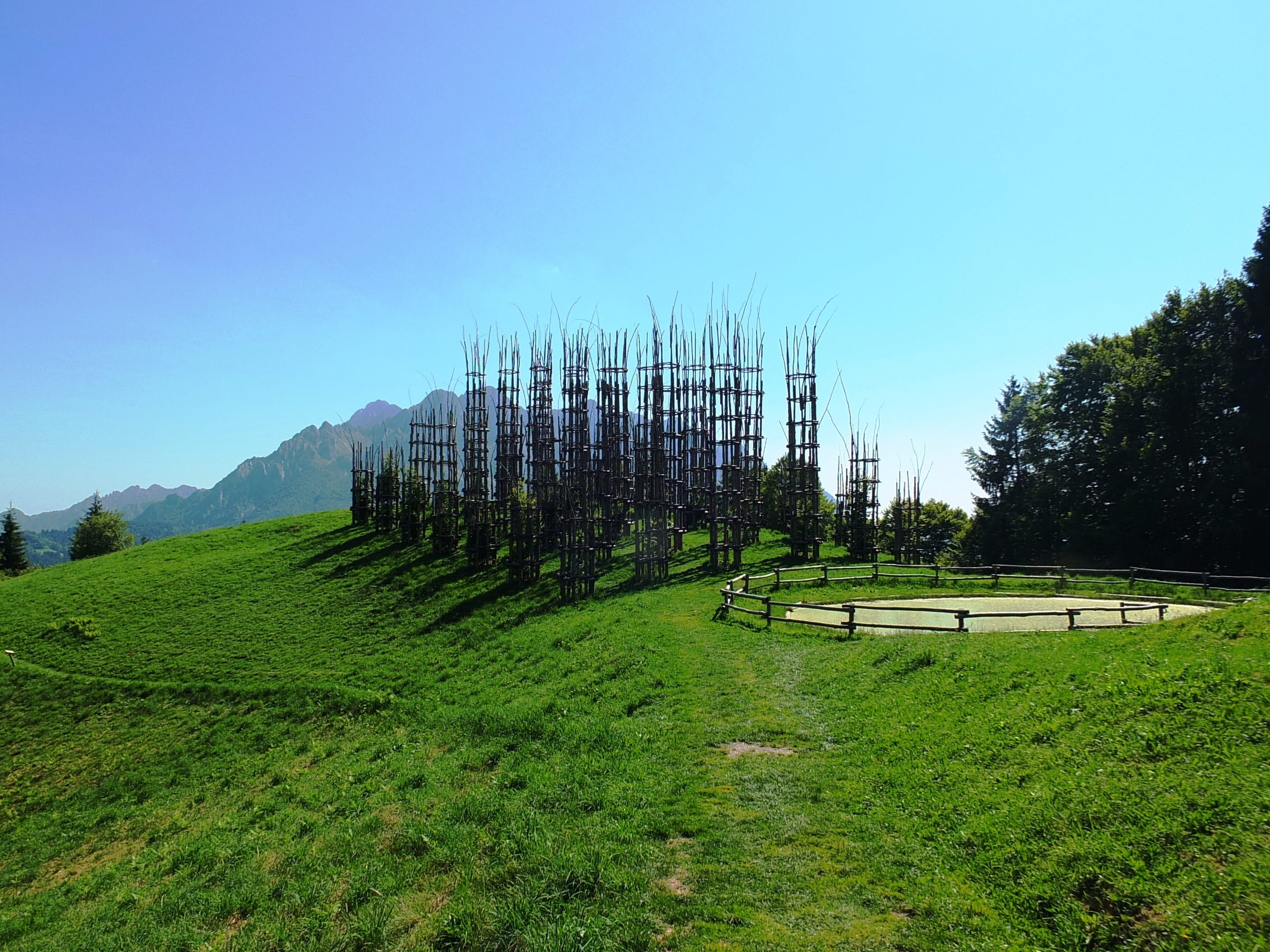 oltre il colle, growth, green color, day, outdoors, landscape, grass, sky, lombardy, copy space, tranquility, no people, green, foliage, mountain, environment, HD Wallpaper