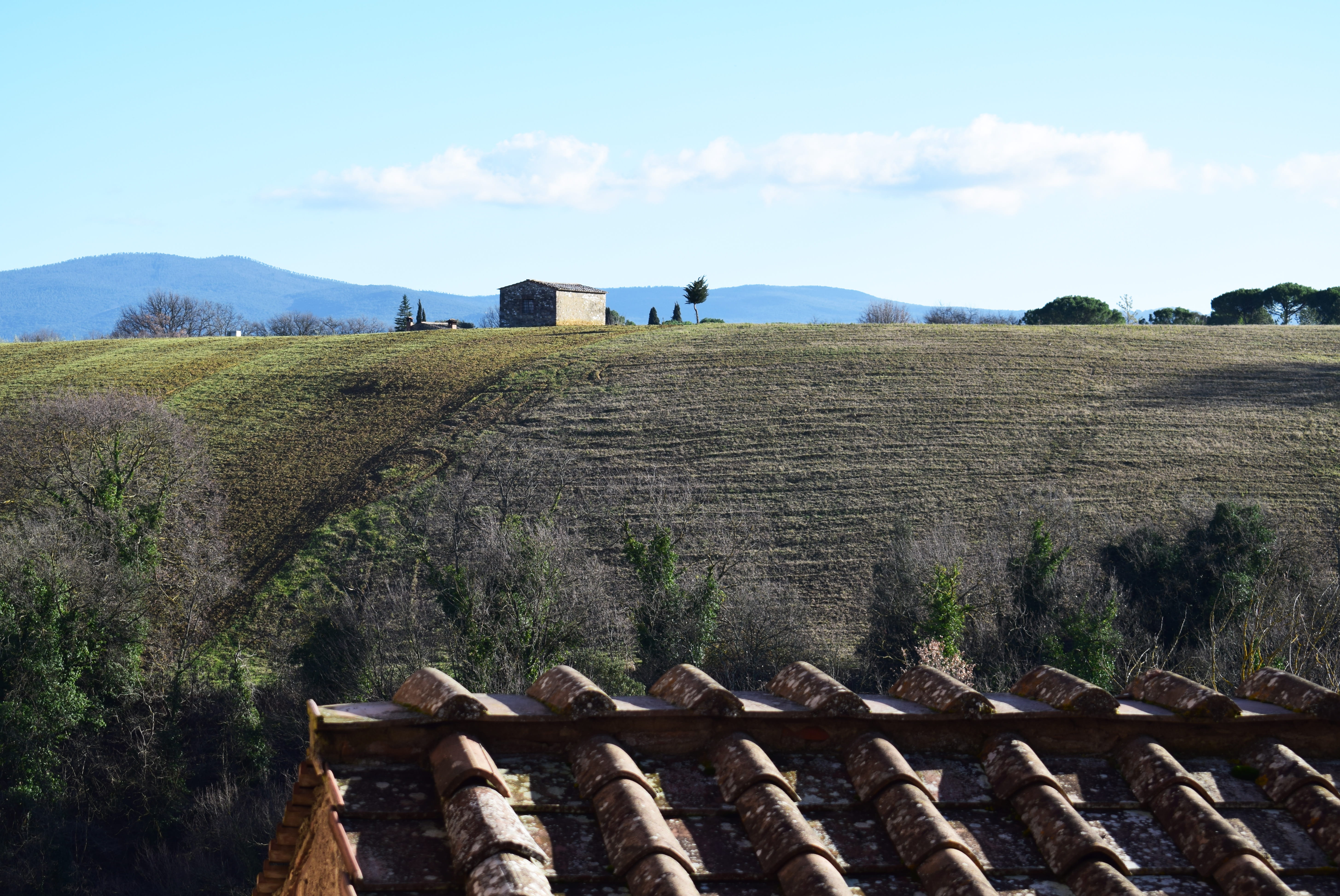 field, 5K, tuscany, tranquility, day, environment, outdoors, sky, italy, sunlight, plant, built structure, nature, cloud - sky, land, colle di val delsa, HD Wallpaper