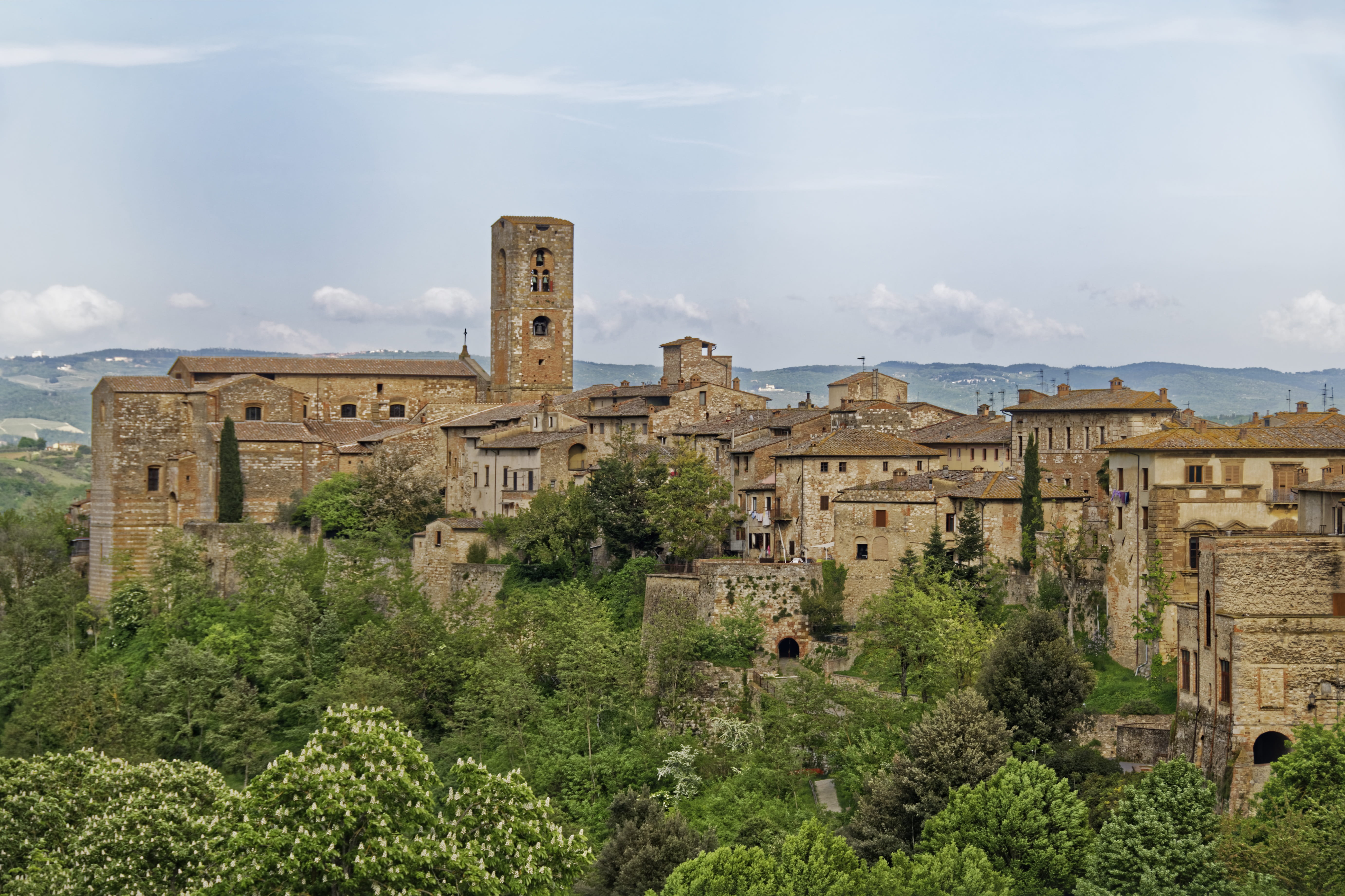 tree, cloud - sky, plant, italy, old ruin, colle di val delsa, day, ancient, history, sky, no people, the past, old, tuscany, growth, ancient civilization, HD Wallpaper