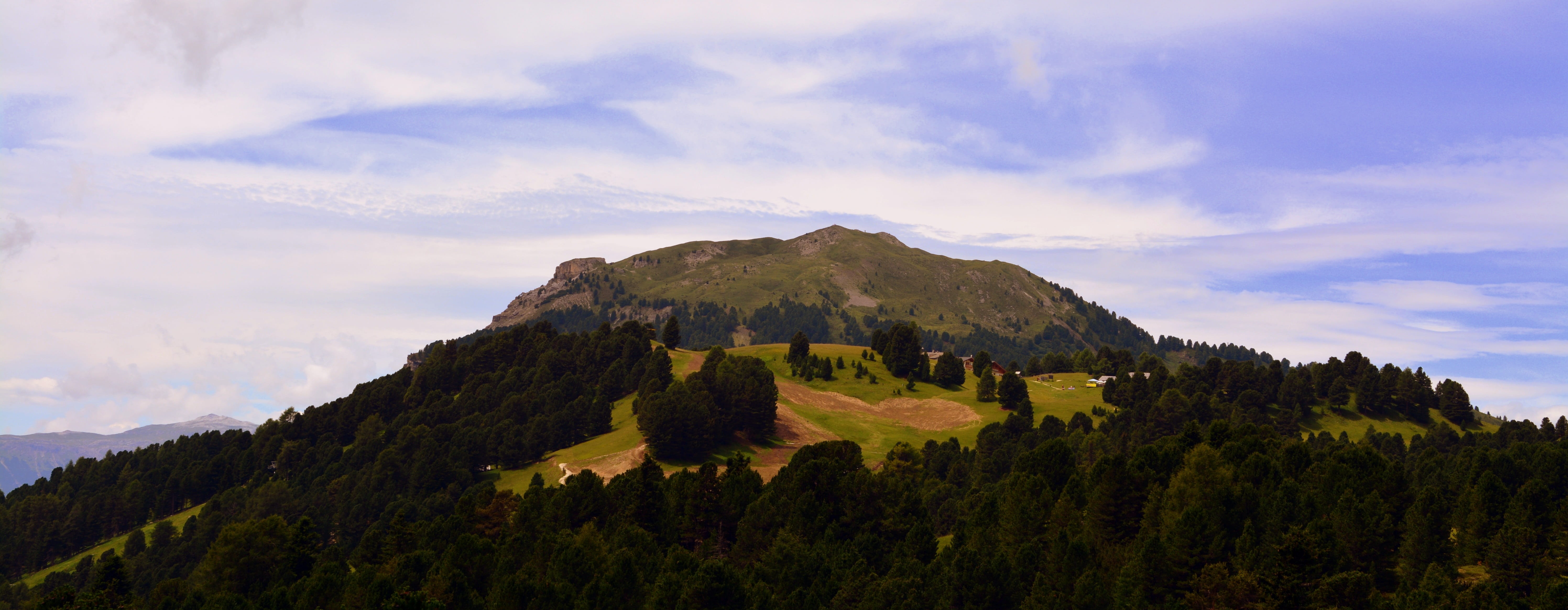 landscape, tranquility, travel destinations, prato, outdoors, trees, environment, pine tree, rural scene, grass, colle, plant, scenics - nature, nature, HD Wallpaper