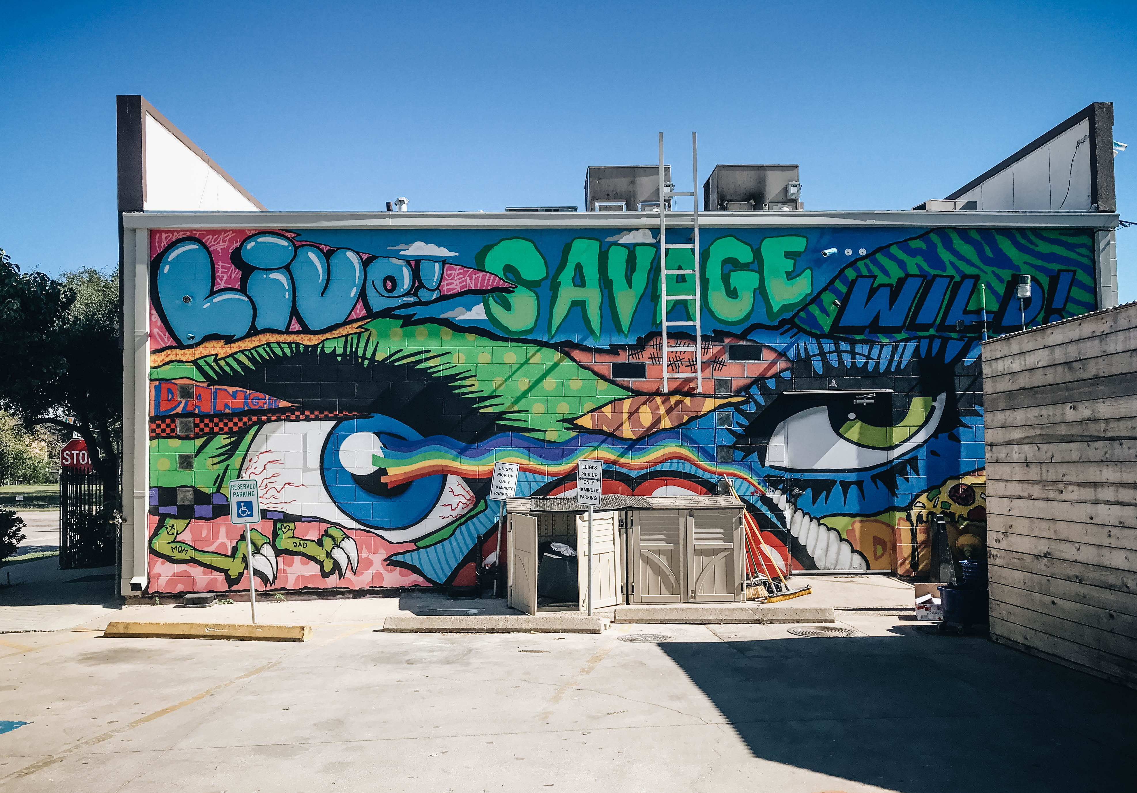 architecture, western script, street art, animal representation, sky, building exterior, nature, eye, savage, paint, creativity, multi colored, text, built structure, HD Wallpaper