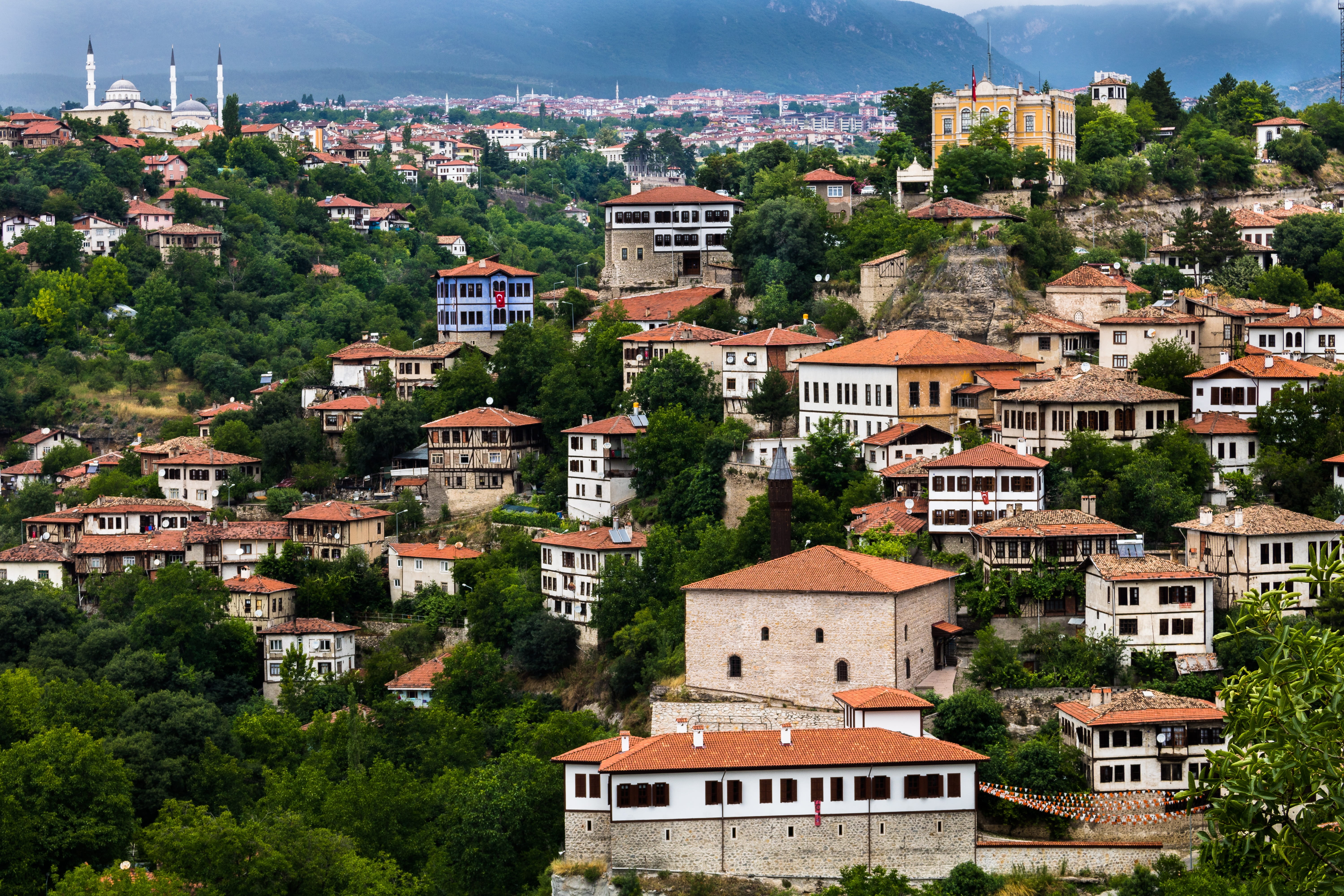 tree, house, classic, town, safranbolu, window, old, cityscape, townscape, city, plant, travel destinations, architecture, nature, roof, residential district, HD Wallpaper