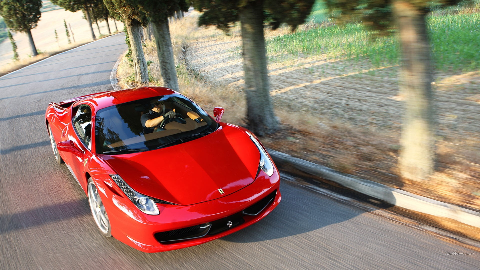 outdoors, blurred motion, city, sign, day, motor vehicle, on the move, travel, 1080P, plant, driving, Ferrari, motion, road, car, land vehicle, tree, red, HD Wallpaper