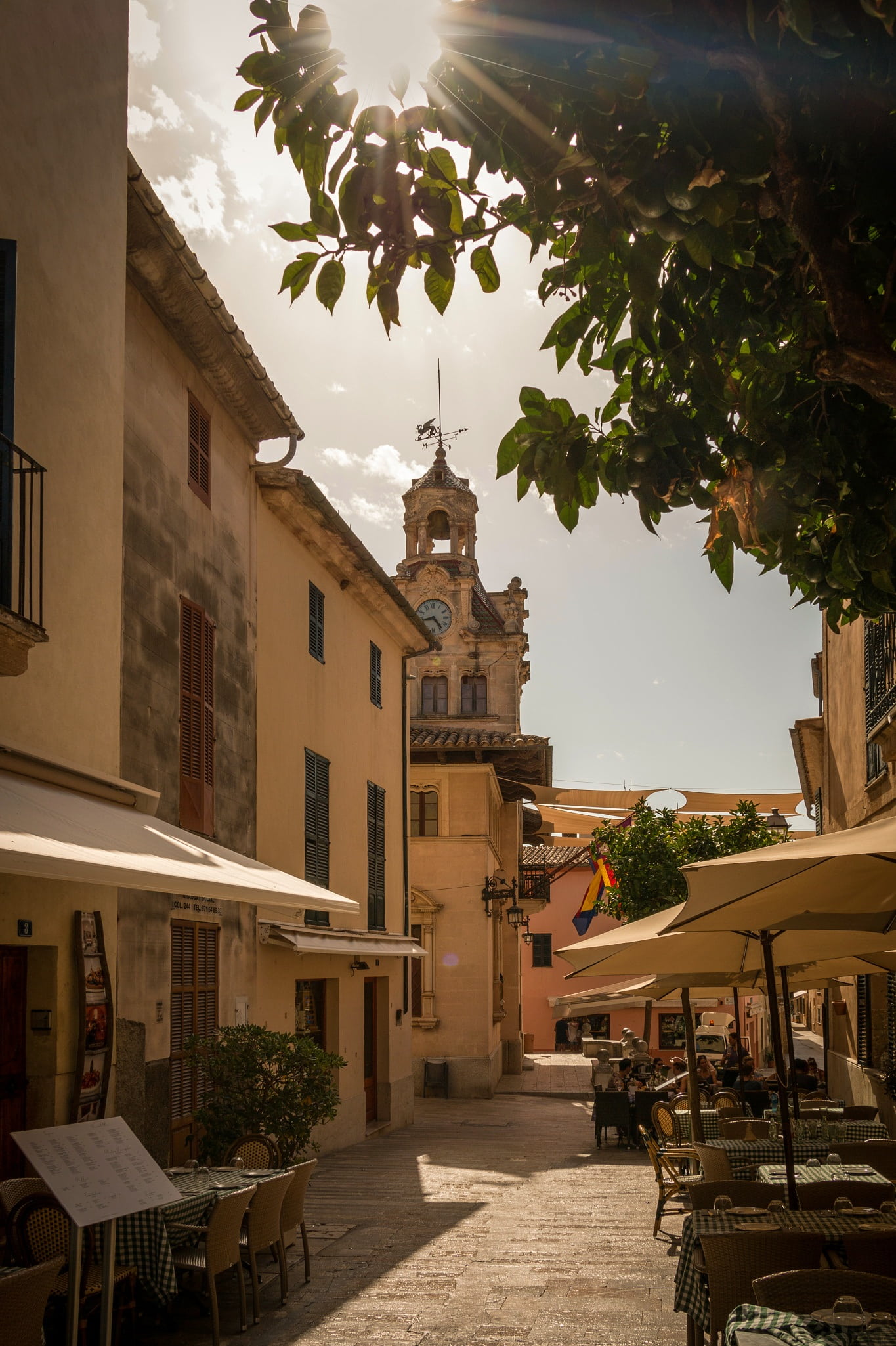 recreation, building, 1080P, place of worship, built structure, sun, travel destinations, nature, street, old town, tree, seat, holiday, majorca, plant, Phone HD Wallpaper