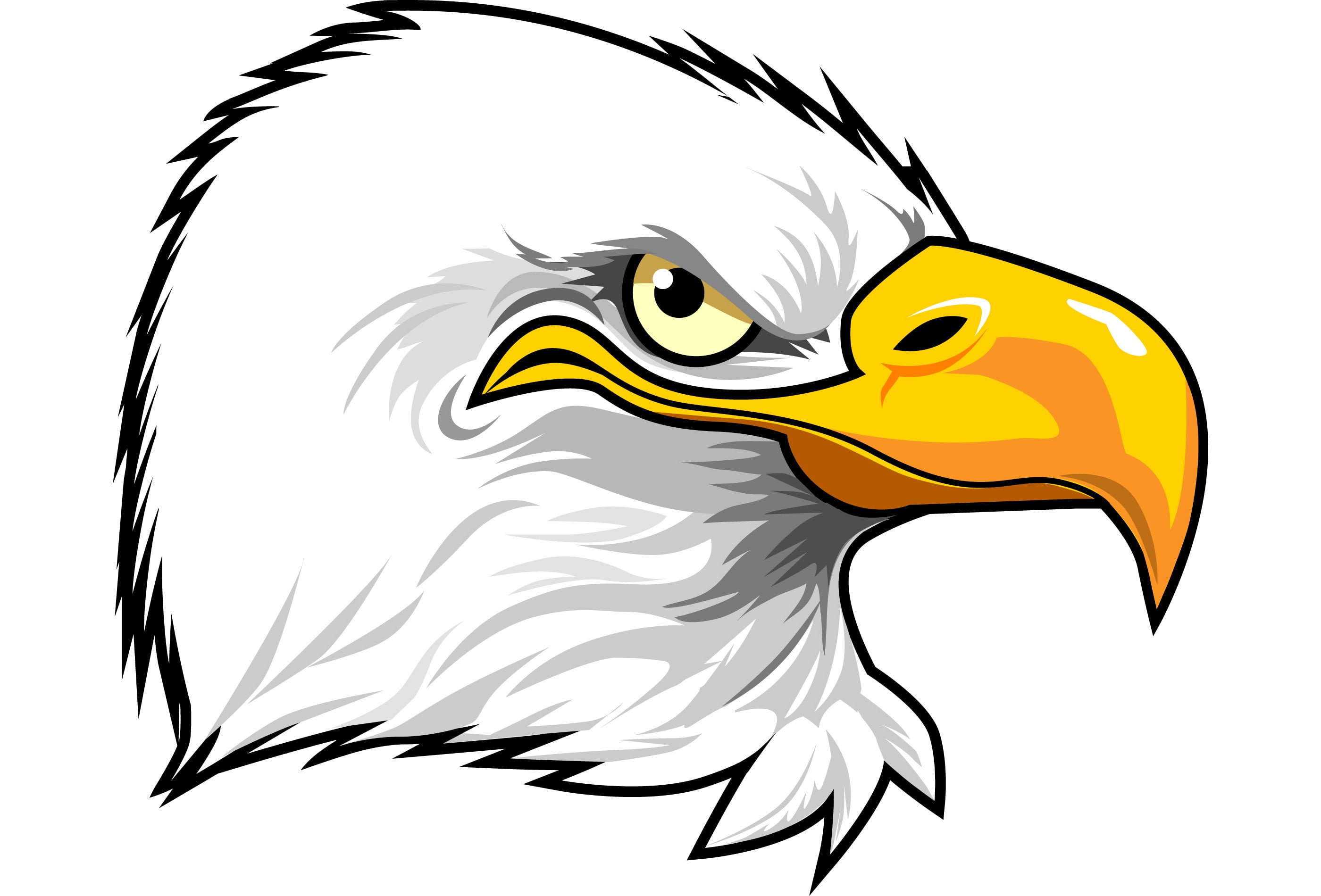 beak, 2K, penetrating gaze, eagle, feathers, HD Wallpaper