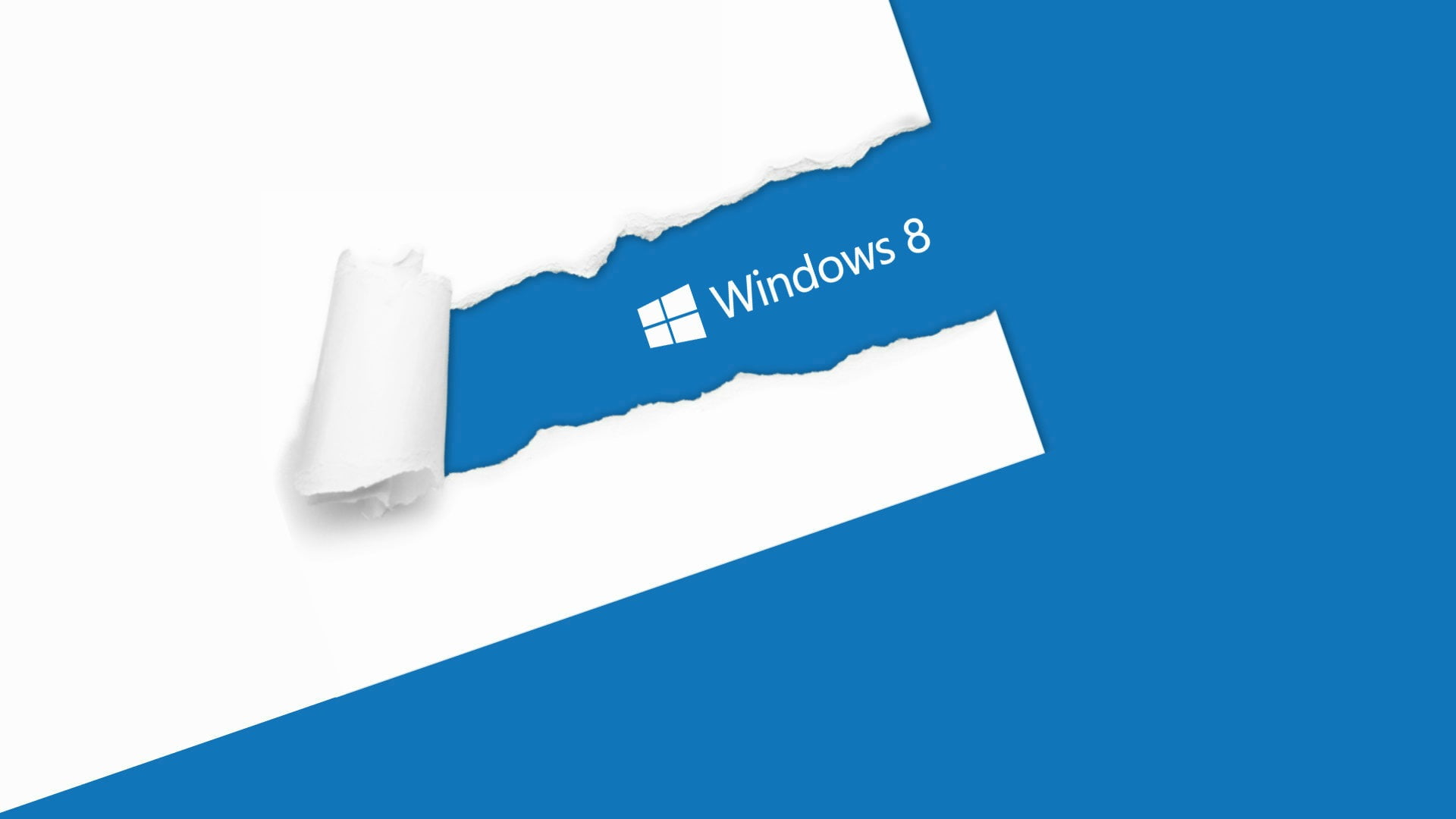 white color, windows, windows 8, technology, white, symbol, data, logo, connection, copy space, 1080P, accessibility, internet, blue, computer network, HD Wallpaper