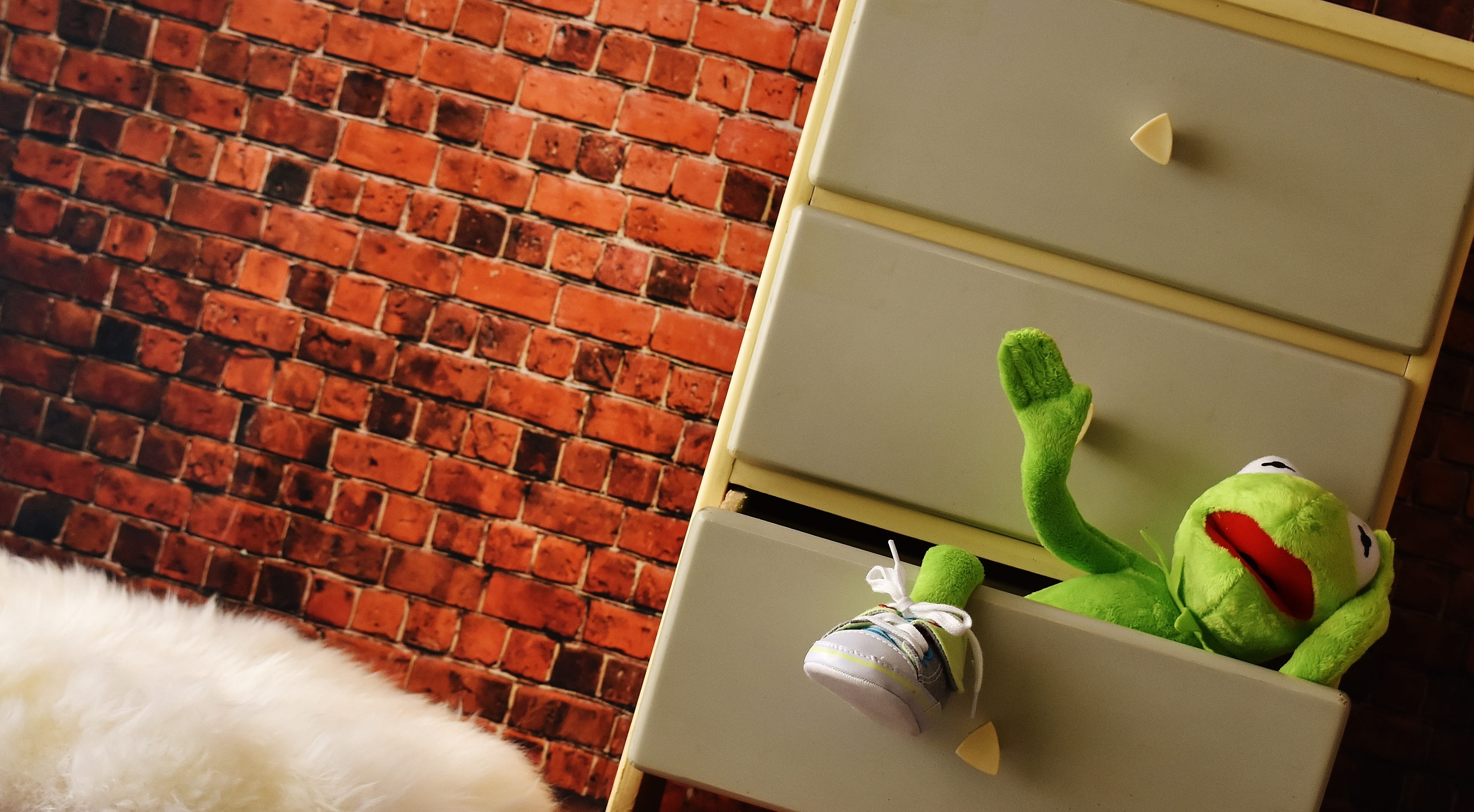 Cabinet, drawer, built structure, animal themes, wall, architecture, container, filing cabinet, funny, flooring, plush, potted plant, mammal, furniture, HD Wallpaper