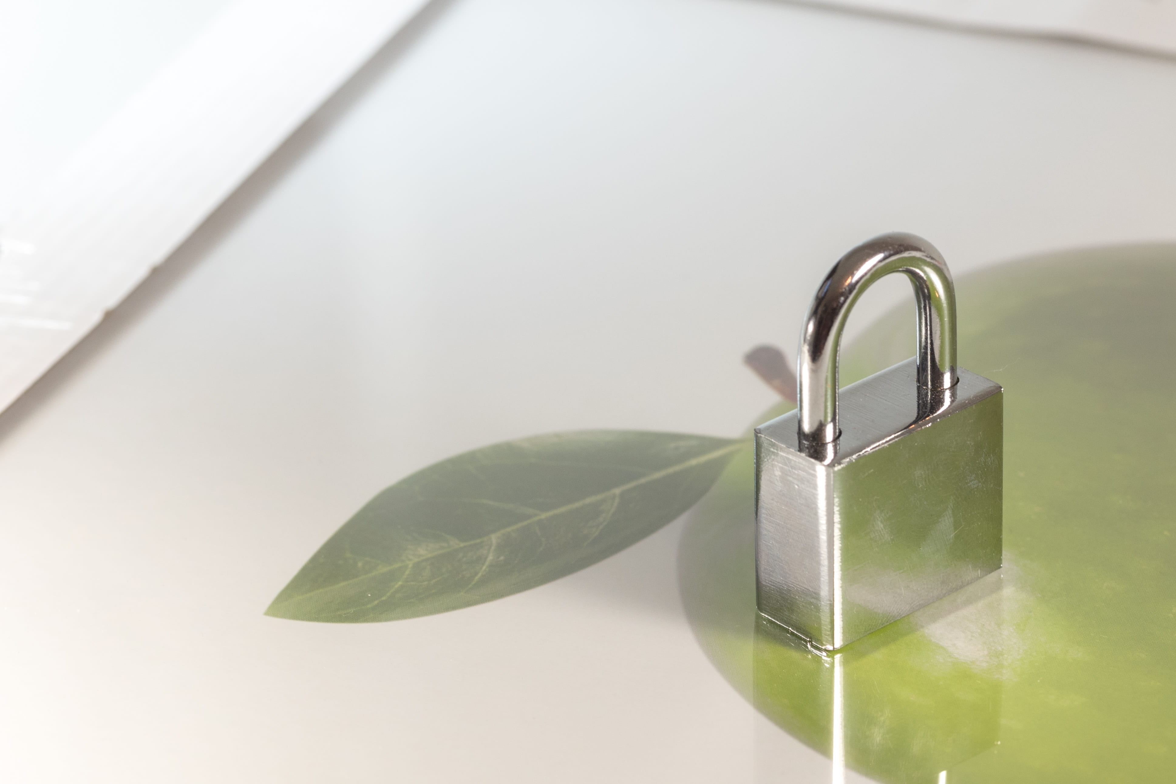 silver colored, plant part, sure, no people, security, closed, white background, security lock, close, close-up, studio shot, key hole, shut off, simplicity, HD Wallpaper