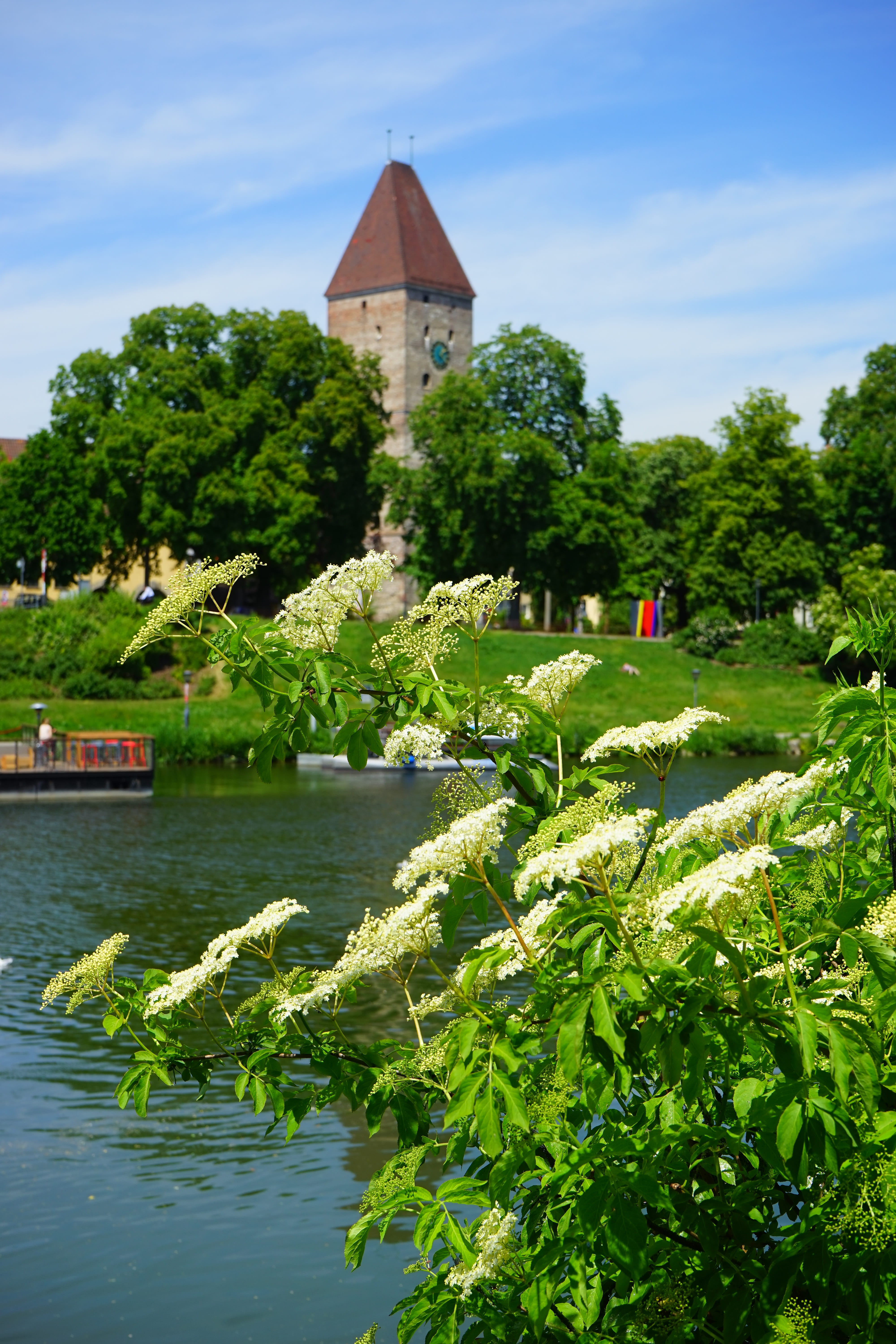 water, building exterior, goose tower, mode of transportation, growth, blossom, tower, sky, sambucus, green color, beauty in nature, architecture, no people, Phone HD Wallpaper