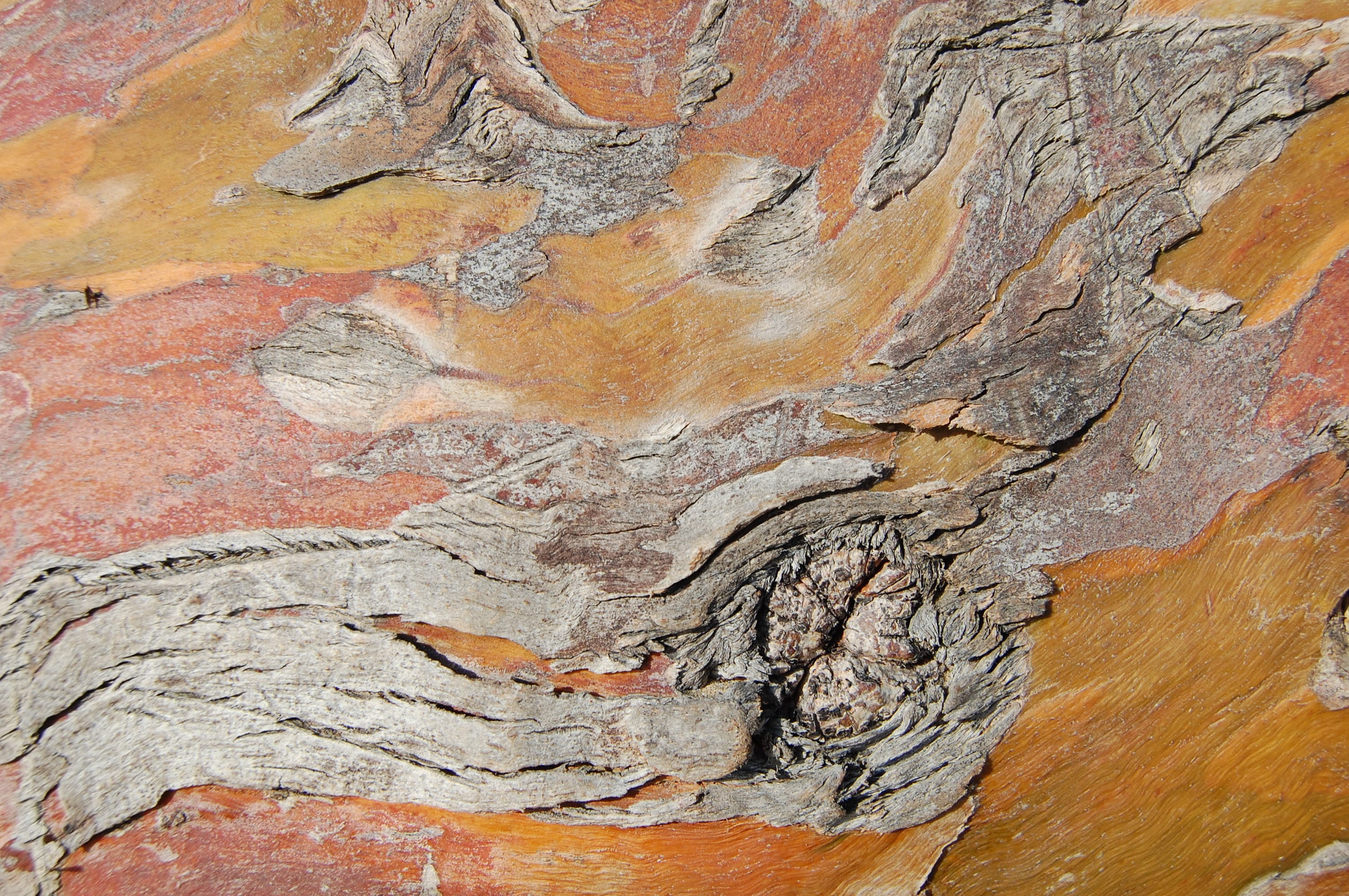 backgrounds, 2K, wood - Material, day, surface, no people, solid, outdoor, beauty in nature, textured, abstract, bark, texture, ancient civilization, rock - object, HD Wallpaper