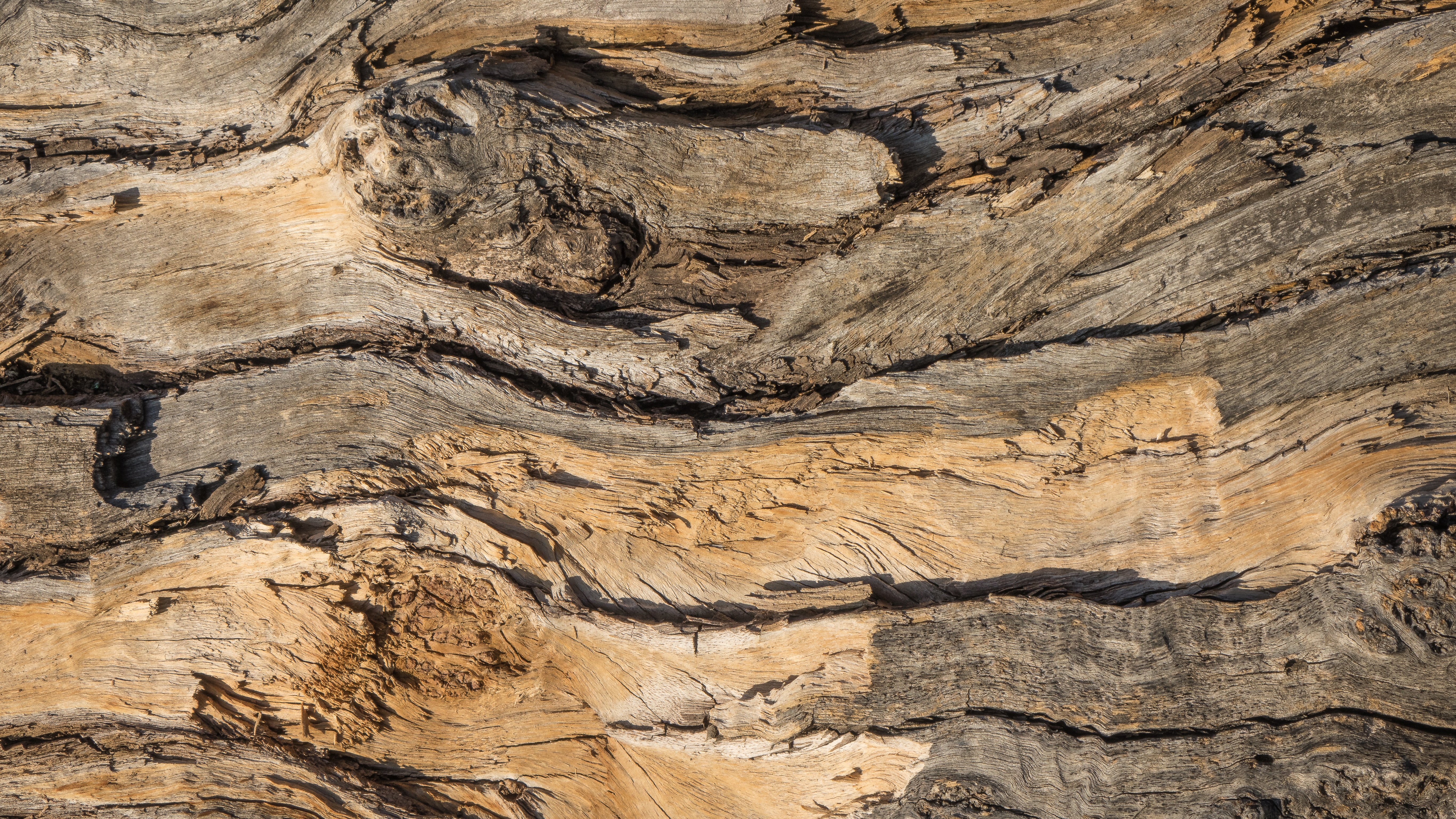 design, layer, tree, no people, material, rough, grain, close-up, arid climate, geology, stump, beauty in nature, climate, trunk, outdoors, background, HD Wallpaper