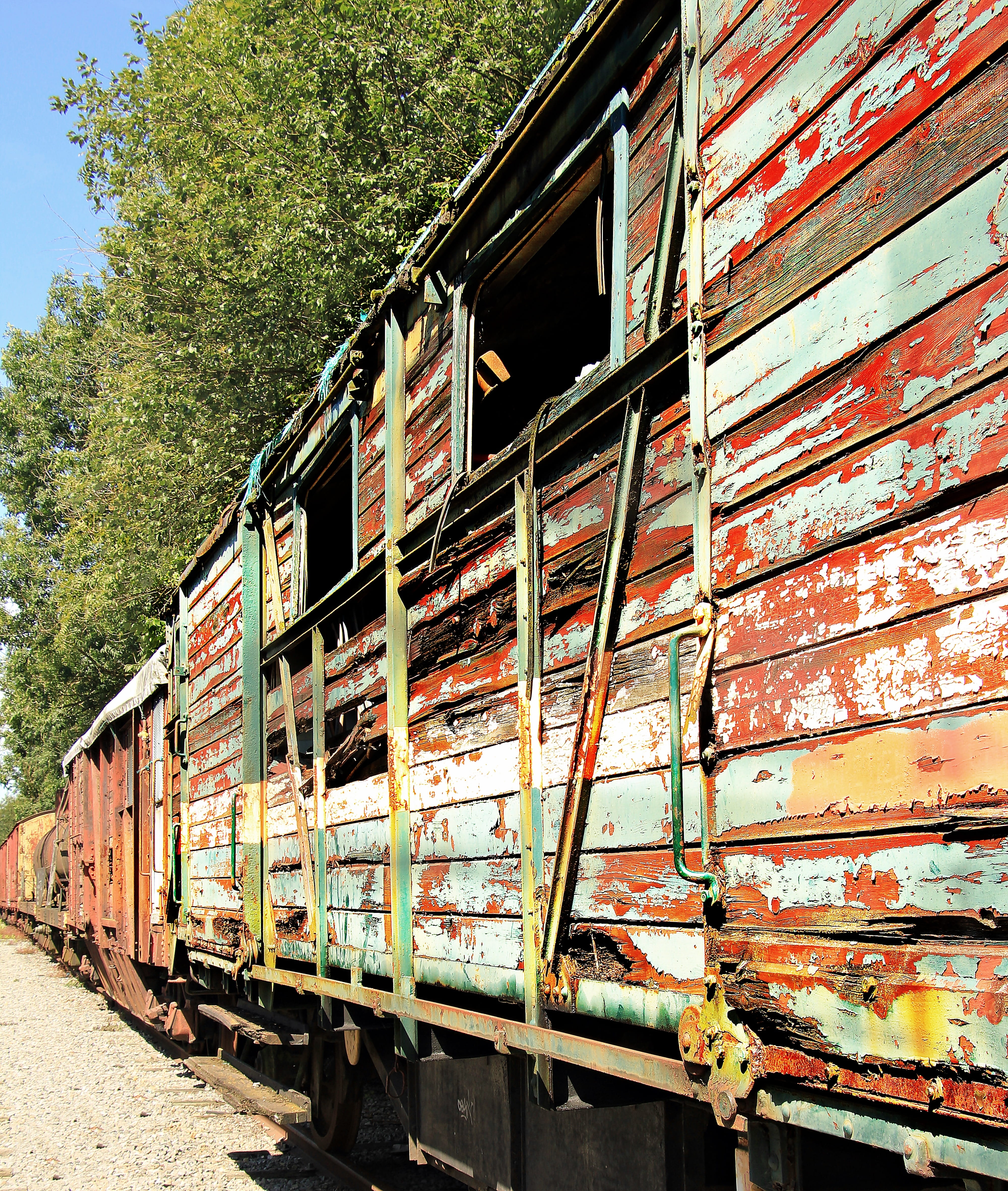 abandoned, wreck, shut down, old, obsolete, weathered, transportation, trees, railroad track, train cemetery, wagon, turned off, land vehicle, train - vehicle, Phone HD Wallpaper