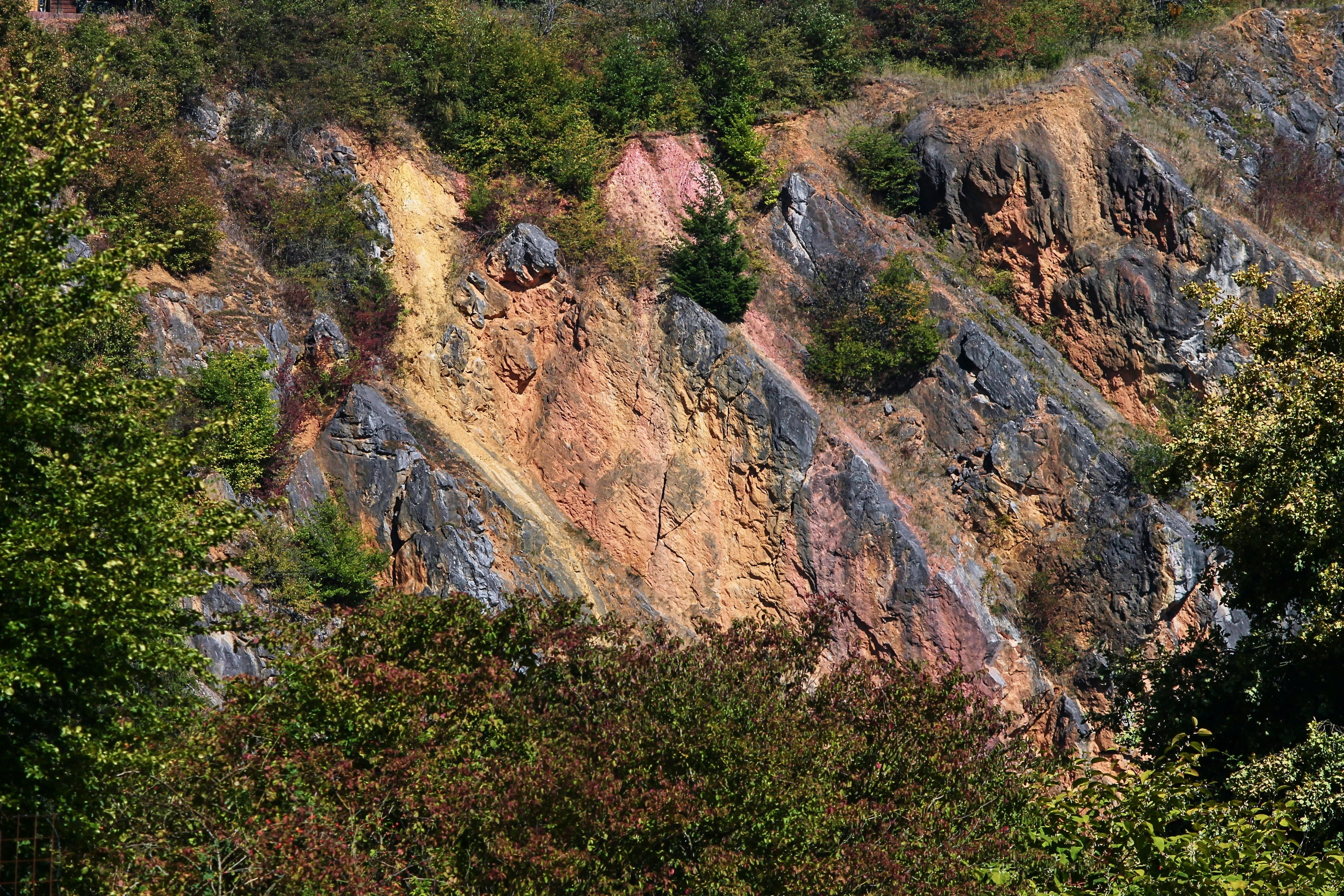 physical geography, crumbled off, formation, rock formation, rocks, solid, growth, 4K, day, tree, form, tranquil scene, eroded, plant, no people, quarry, HD Wallpaper