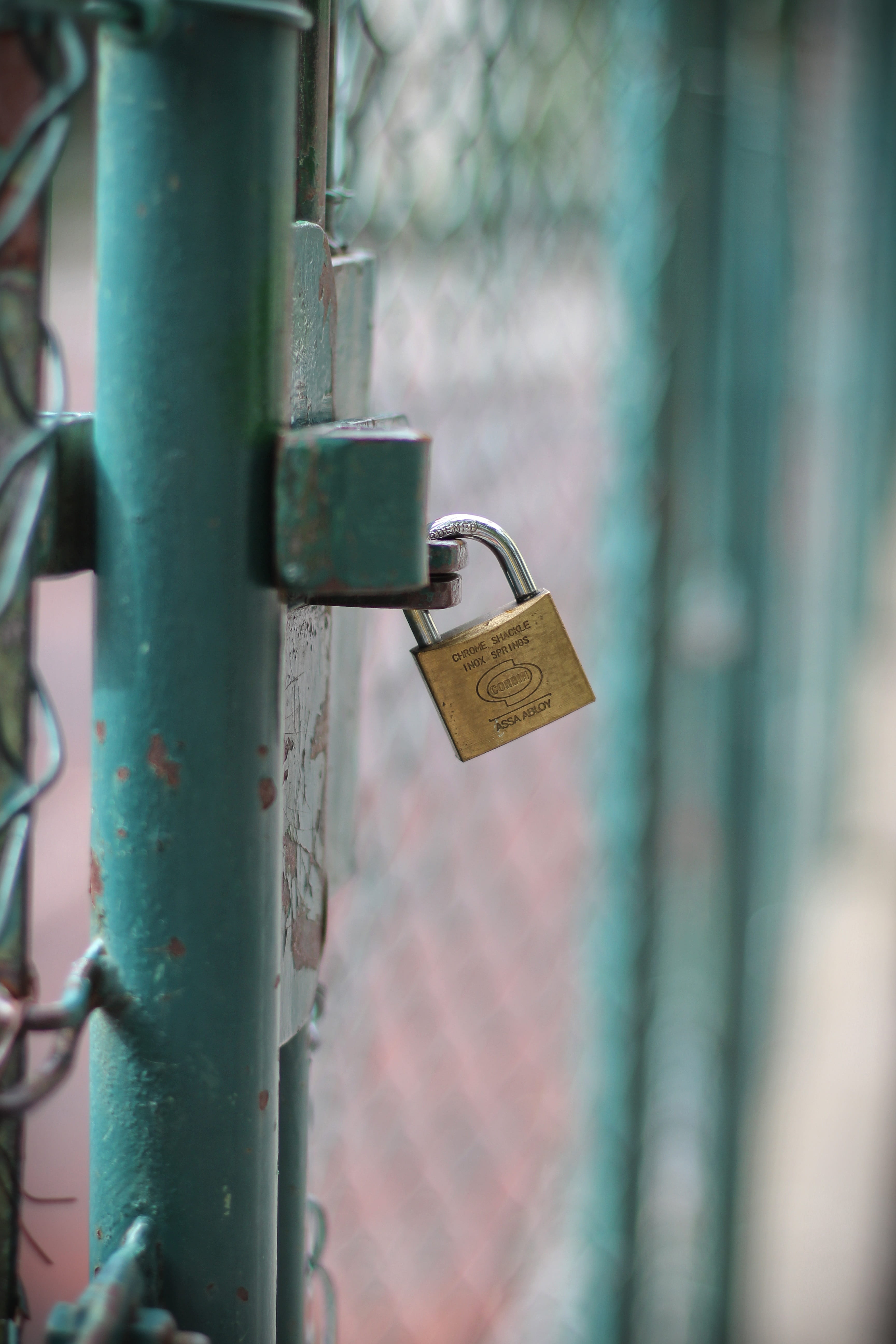 no people, closed, day, protection, text, capping, hanging, lock, emotion, focus on foreground, positive emotion, security, u-lock, padlock, love, close-up, Phone HD Wallpaper