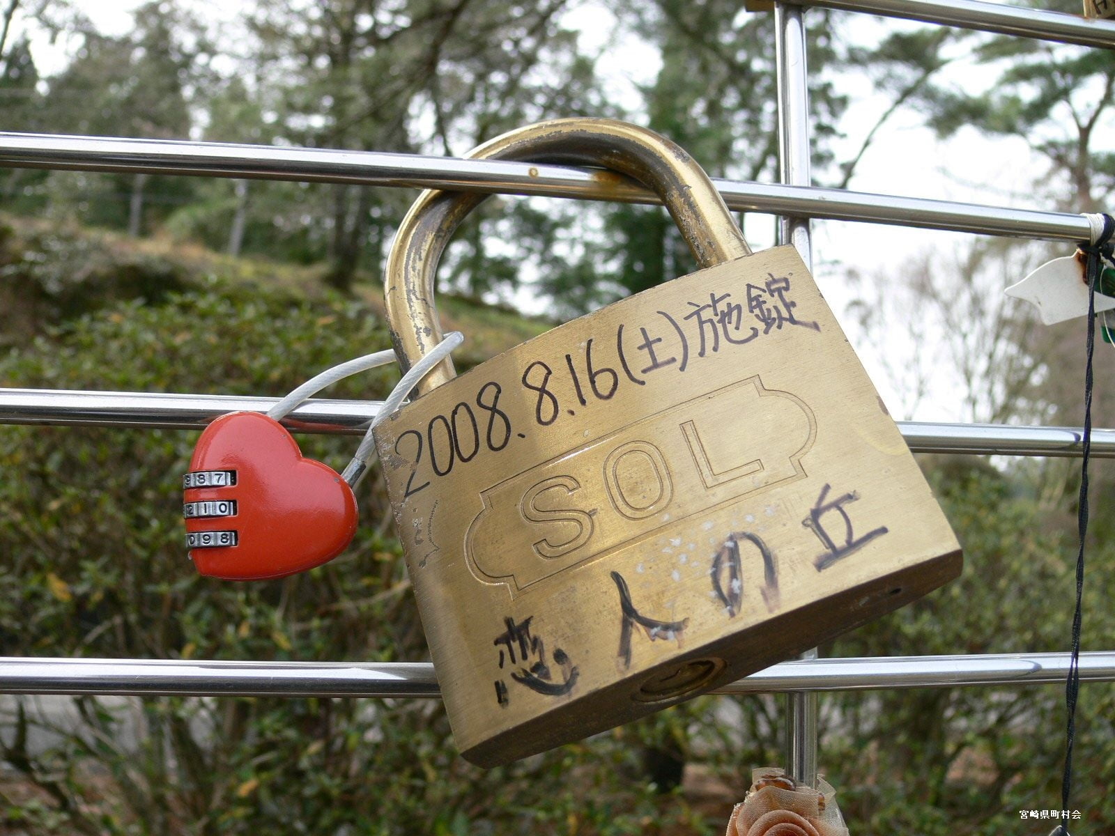 no People, security, date, outdoors, romance, message, protection, 720P, close-up, metal, positive emotion, love, tree, sign, love lock, day, western script, HD Wallpaper
