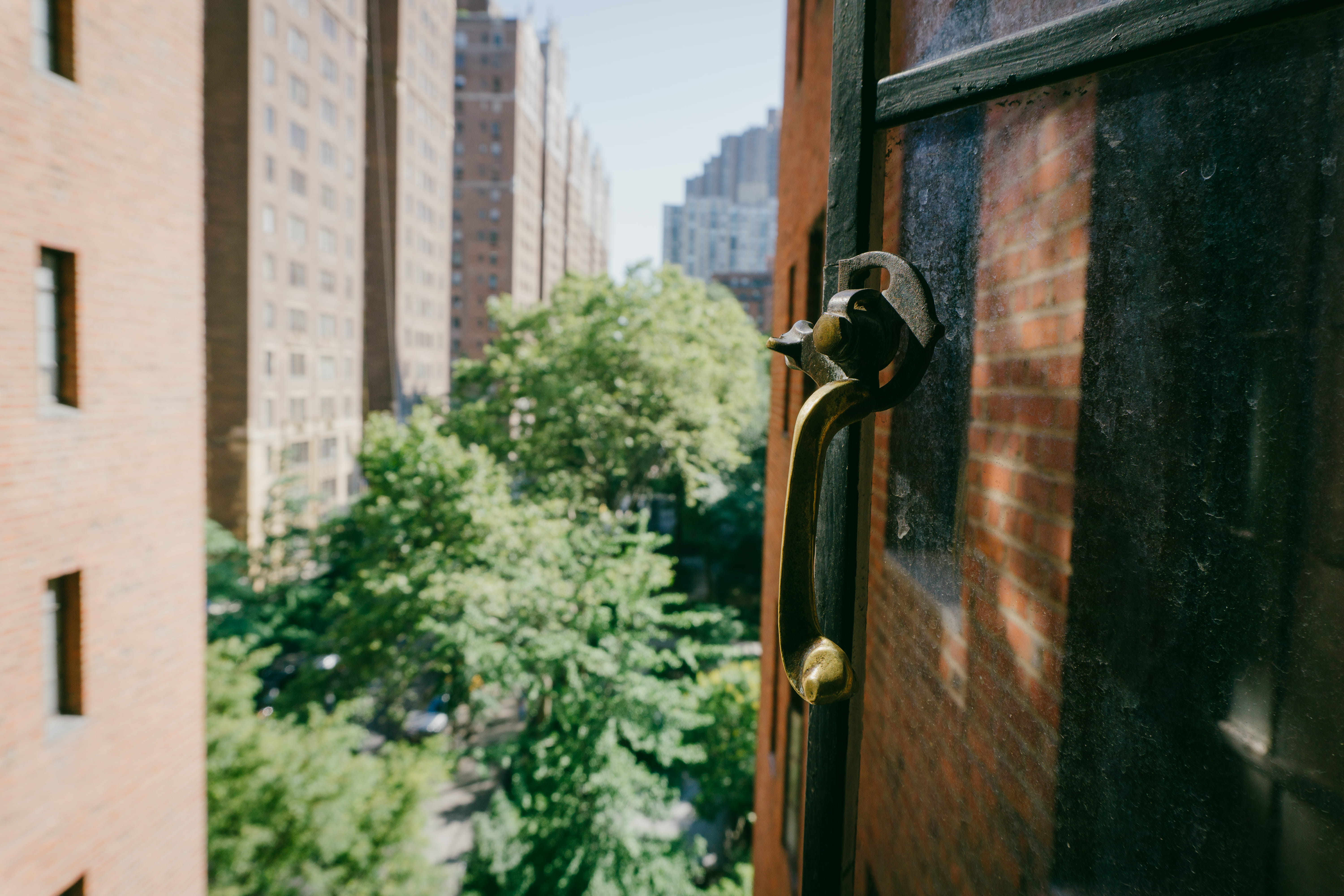 window, trees, new york, safety, architecture, united states, protection, vintage, house, close-up, metal, buildings, handle, plant, no people, built structure, HD Wallpaper