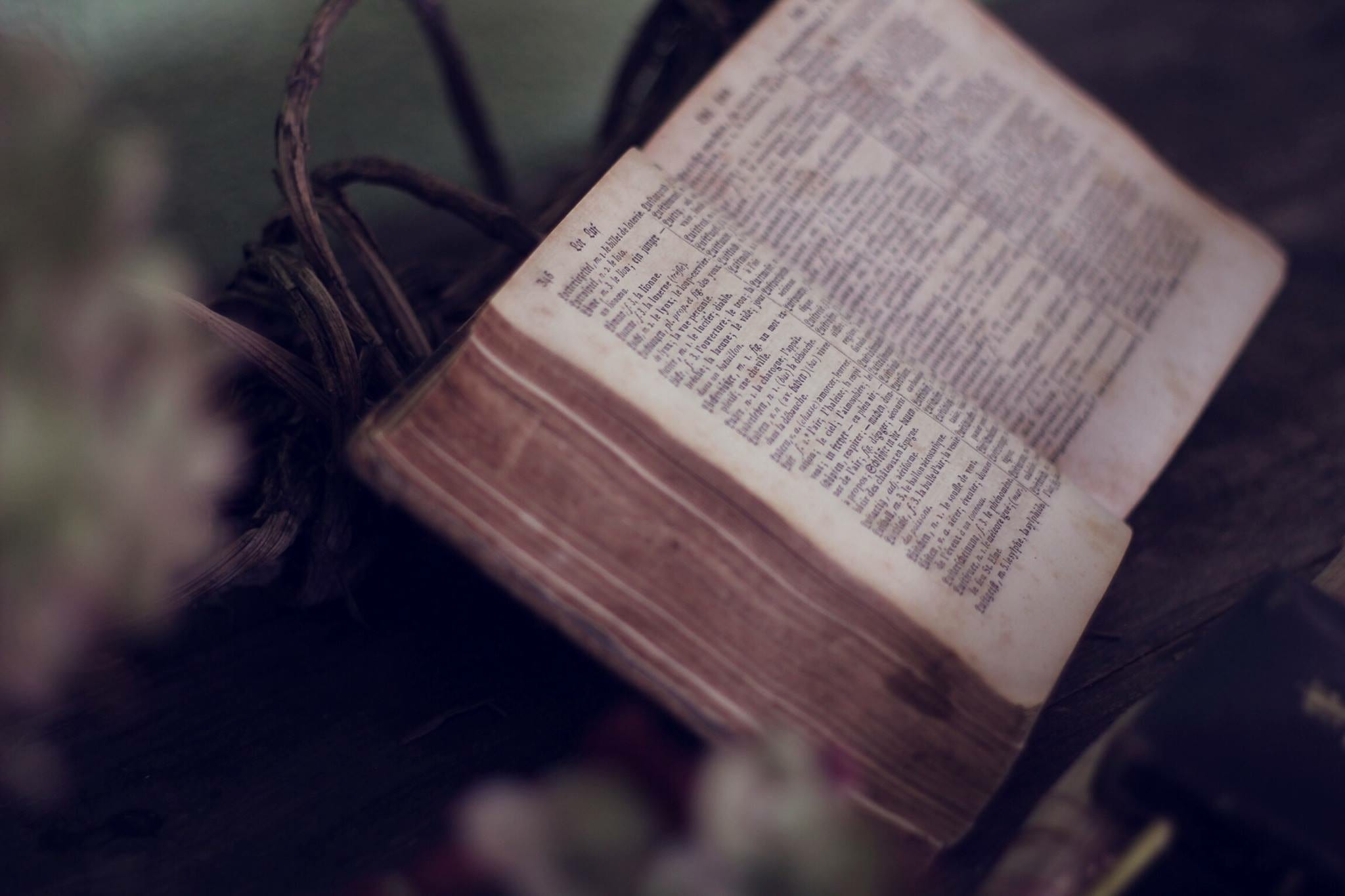 publication, flower, paper, old book, the past, no people, spirituality, shallow, history, belief, bible, focus, read, word, close-up, close, opened, reading, HD Wallpaper
