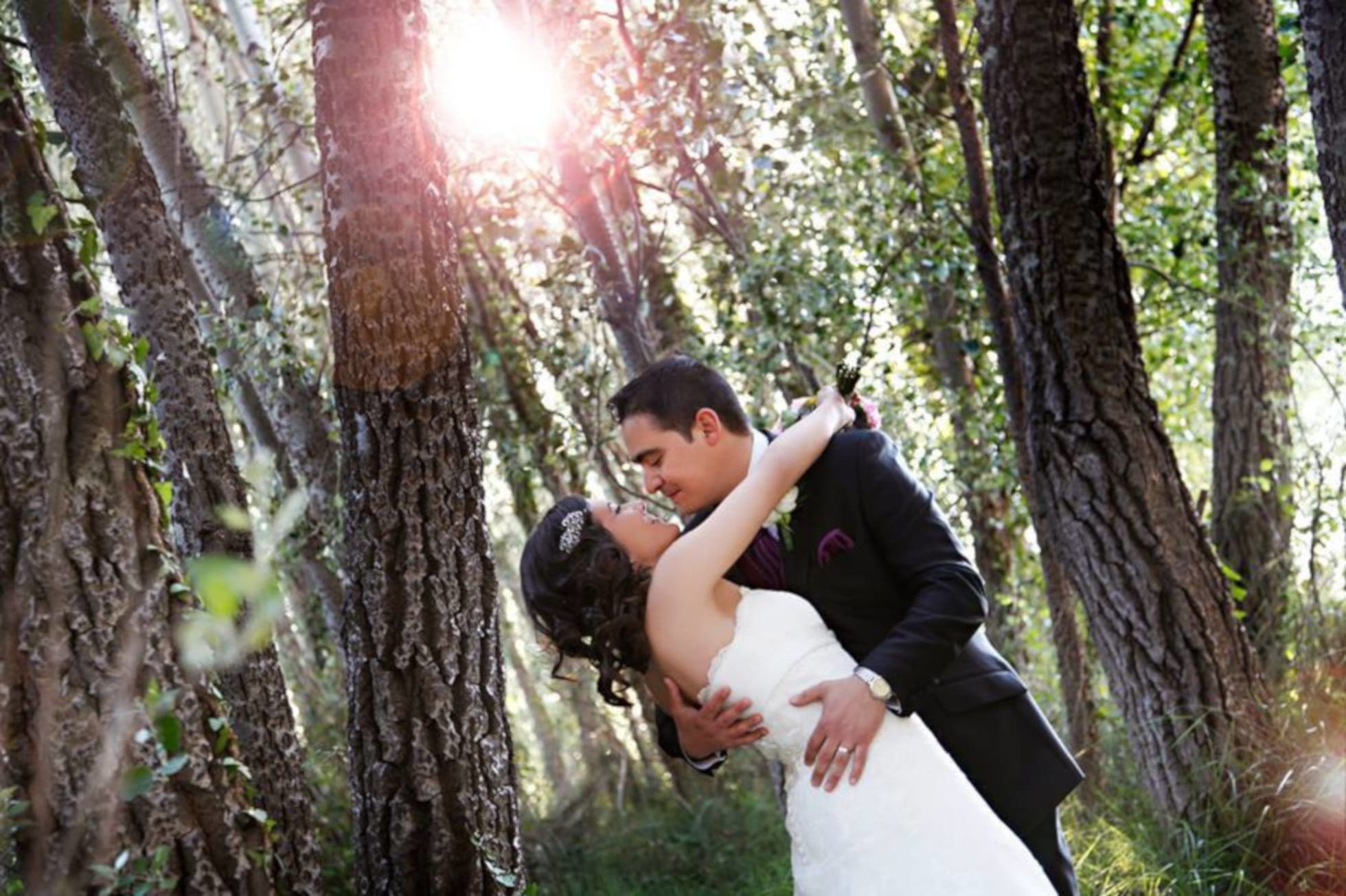 forest, happy, three quarter length, lifestyles, wedding, trunk, side view, 1080P, leisure activity, sunlight, tree, casual clothing, real people, standing, HD Wallpaper