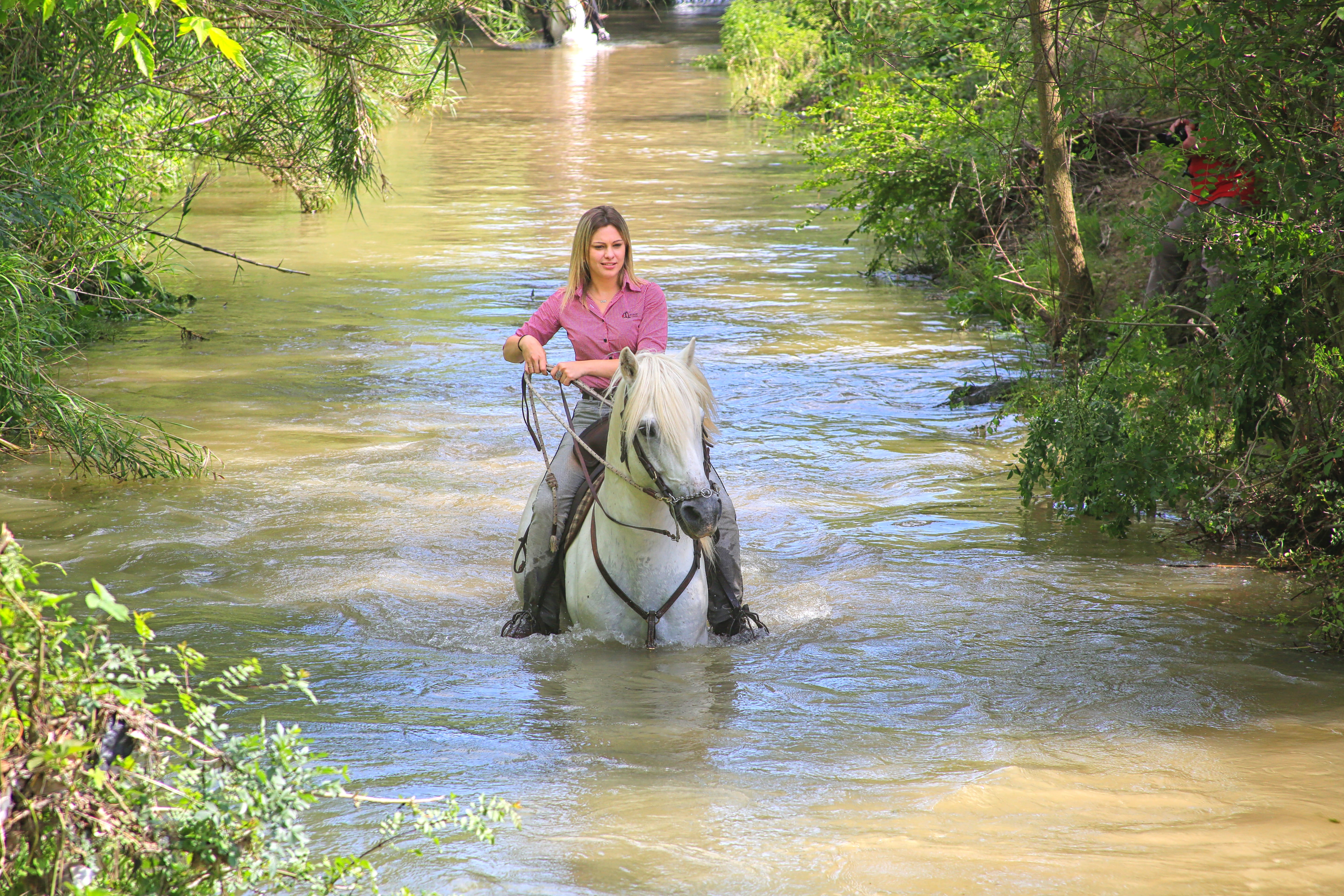 water, river, plant, people, forest, surrounded, cavaliere, equine, trees, mammal, tree, riding, woman, 5K, women, horseback riding, domestic animal, mane, HD Wallpaper