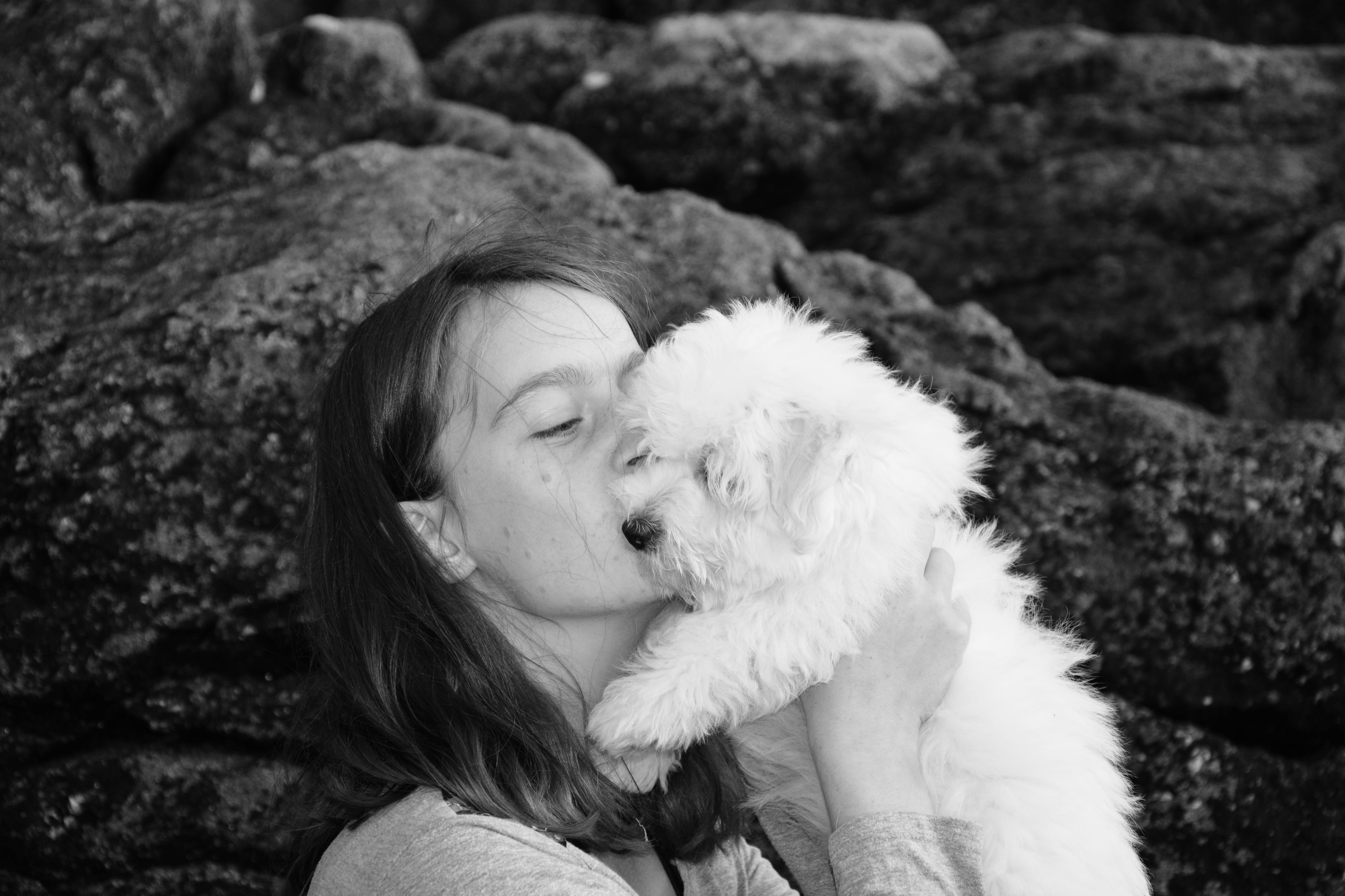 focus on foreground, headshot, pets, complicity, lifestyles, domestic, one animal, vertebrate, kisses, young woman, warm clothing, real people, canine, HD Wallpaper