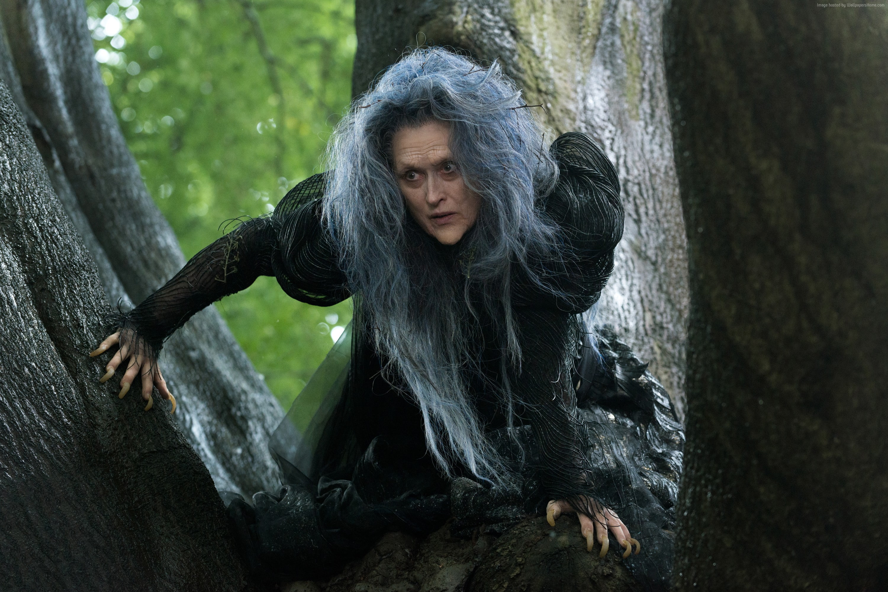 tree, forest, 4k, hair, Meryl Streep, front view, portrait, looking at camera, emotion, primate, hairstyle, plant, 2K, women, ape, people, rock, nature, HD Wallpaper