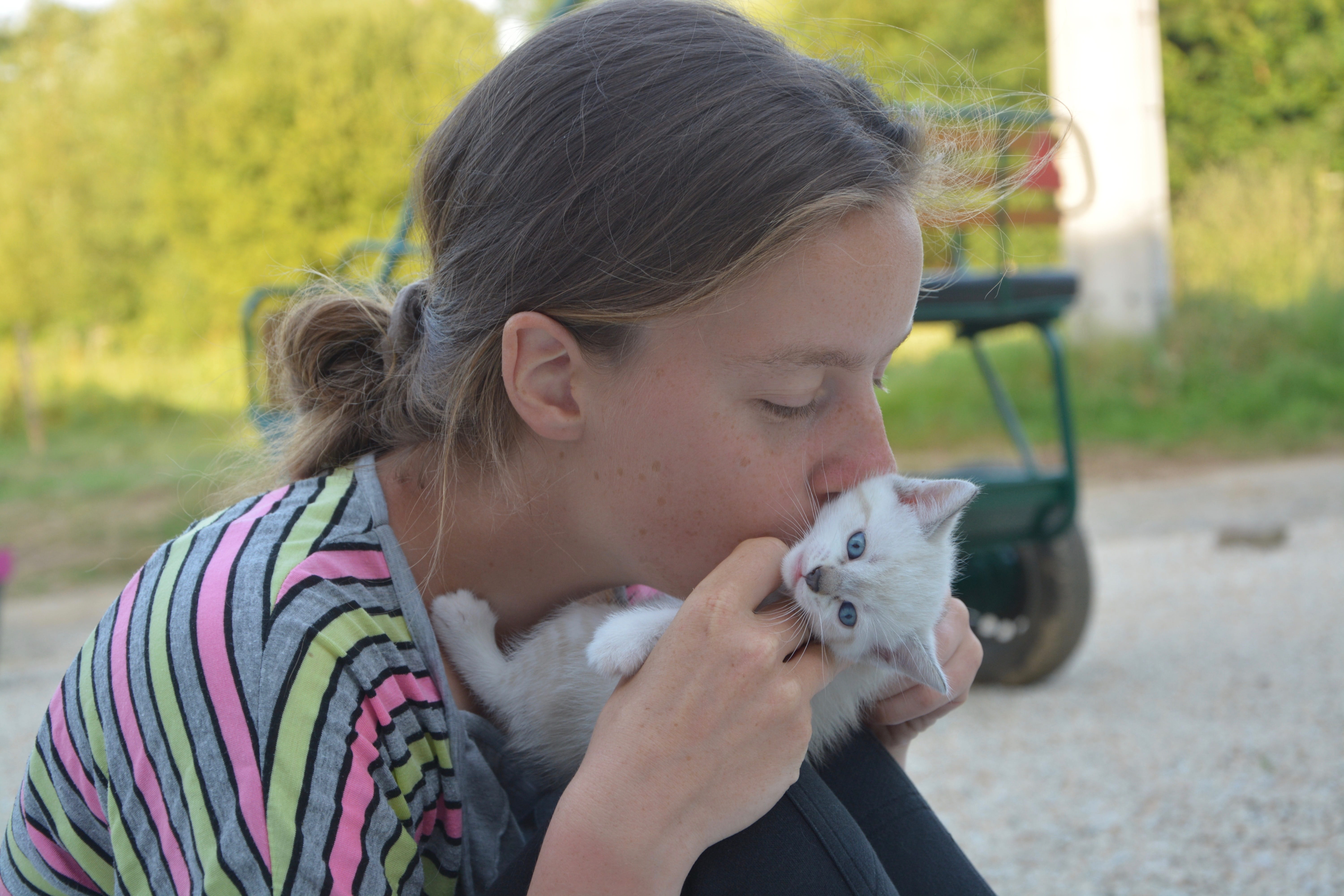 headshot, focus on foreground, hairstyle, kitten, childhood, pets, girl, holding, female, pet owner, tenderness, domestic animals, cat blue eyes, females, HD Wallpaper