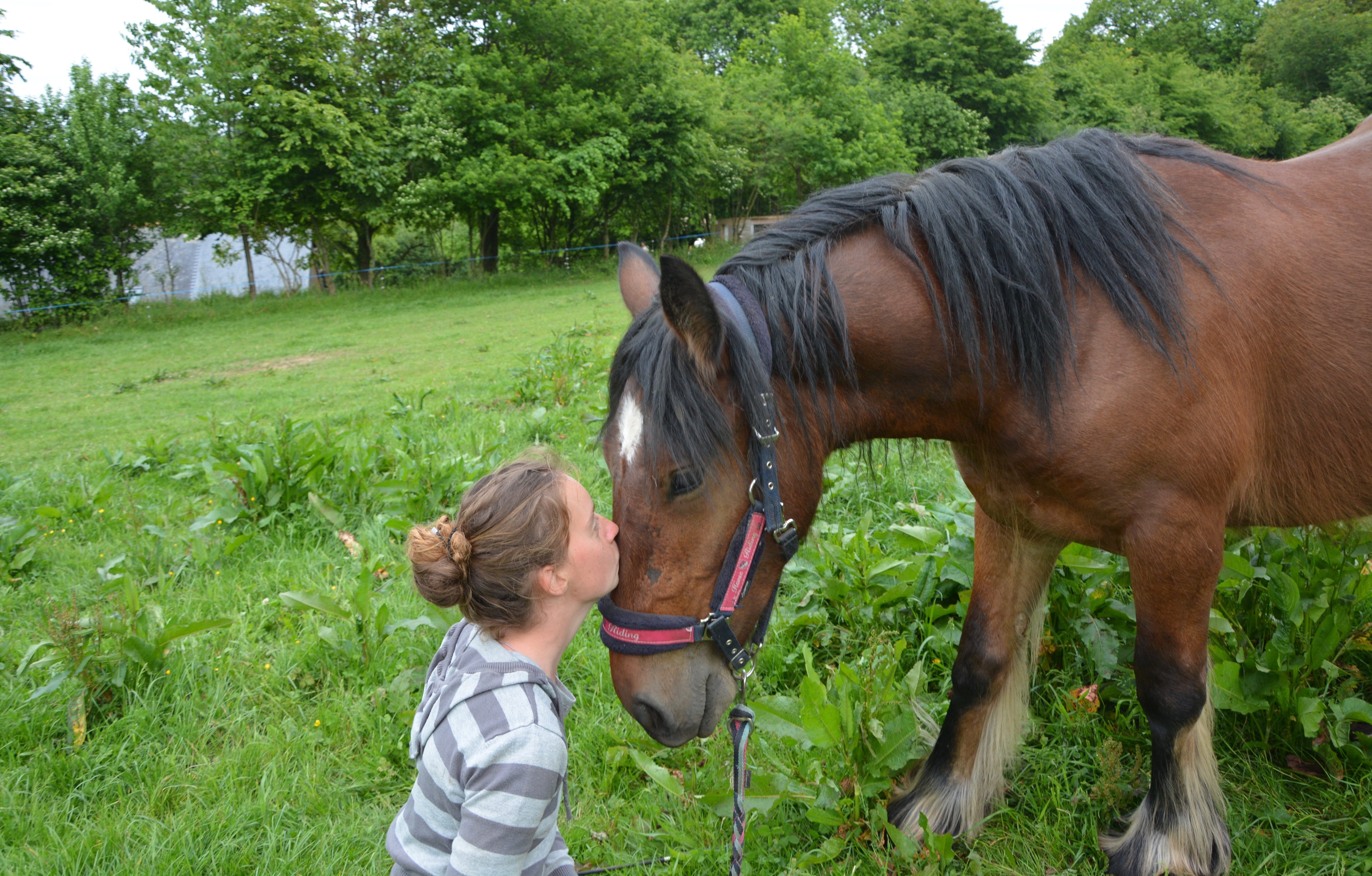 domestic, kisses, real people, nature, animal themes, happiness, domestic animals, pets, happy, 5K, lifestyles, tenderness, field, mammal, horse, leisure activity, HD Wallpaper