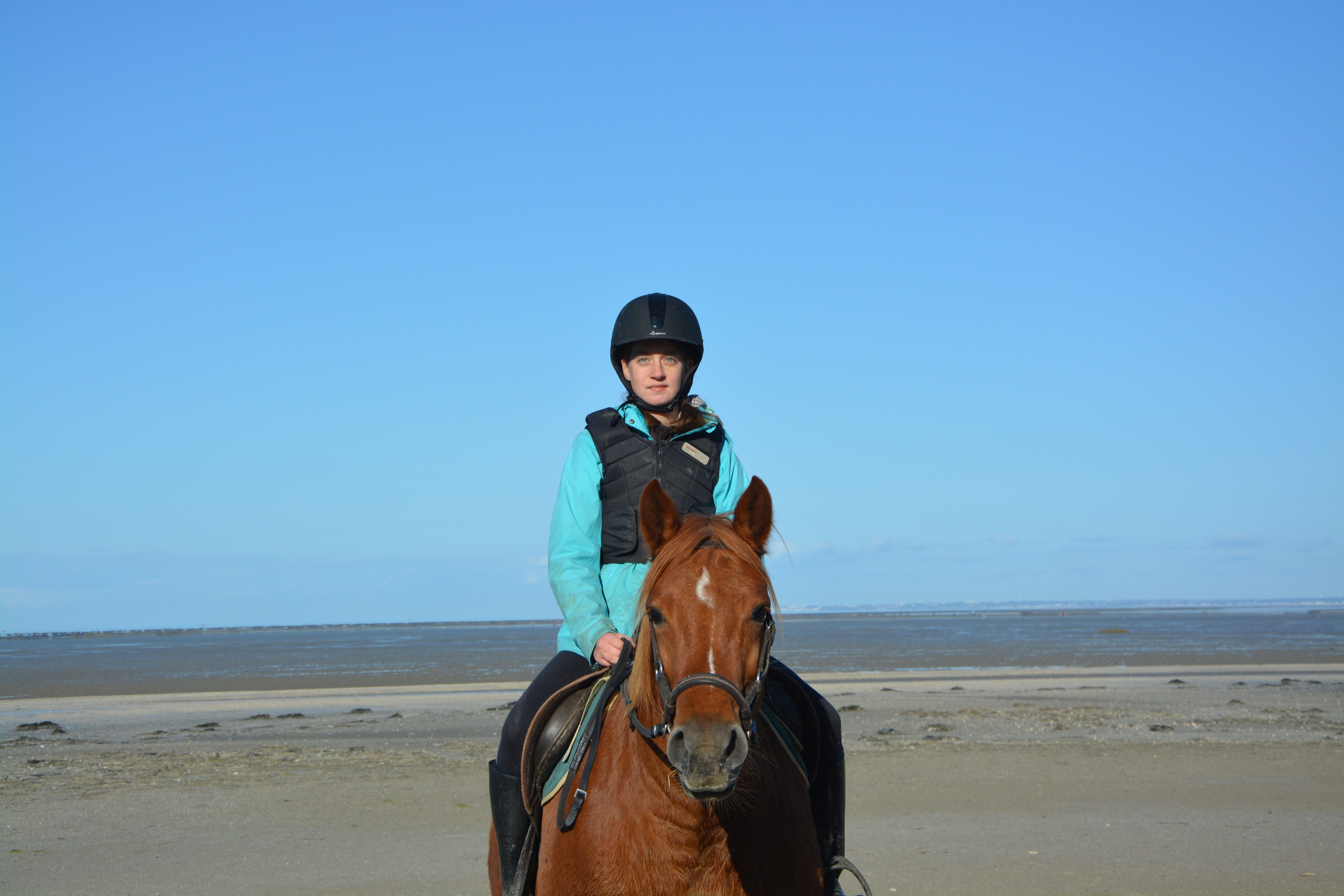 domestic, leisure activity, day, sea, animal, animal themes, scenics - nature, beach, complicity, horseback riding, domestic animals, sky, one animal, blue sky, HD Wallpaper