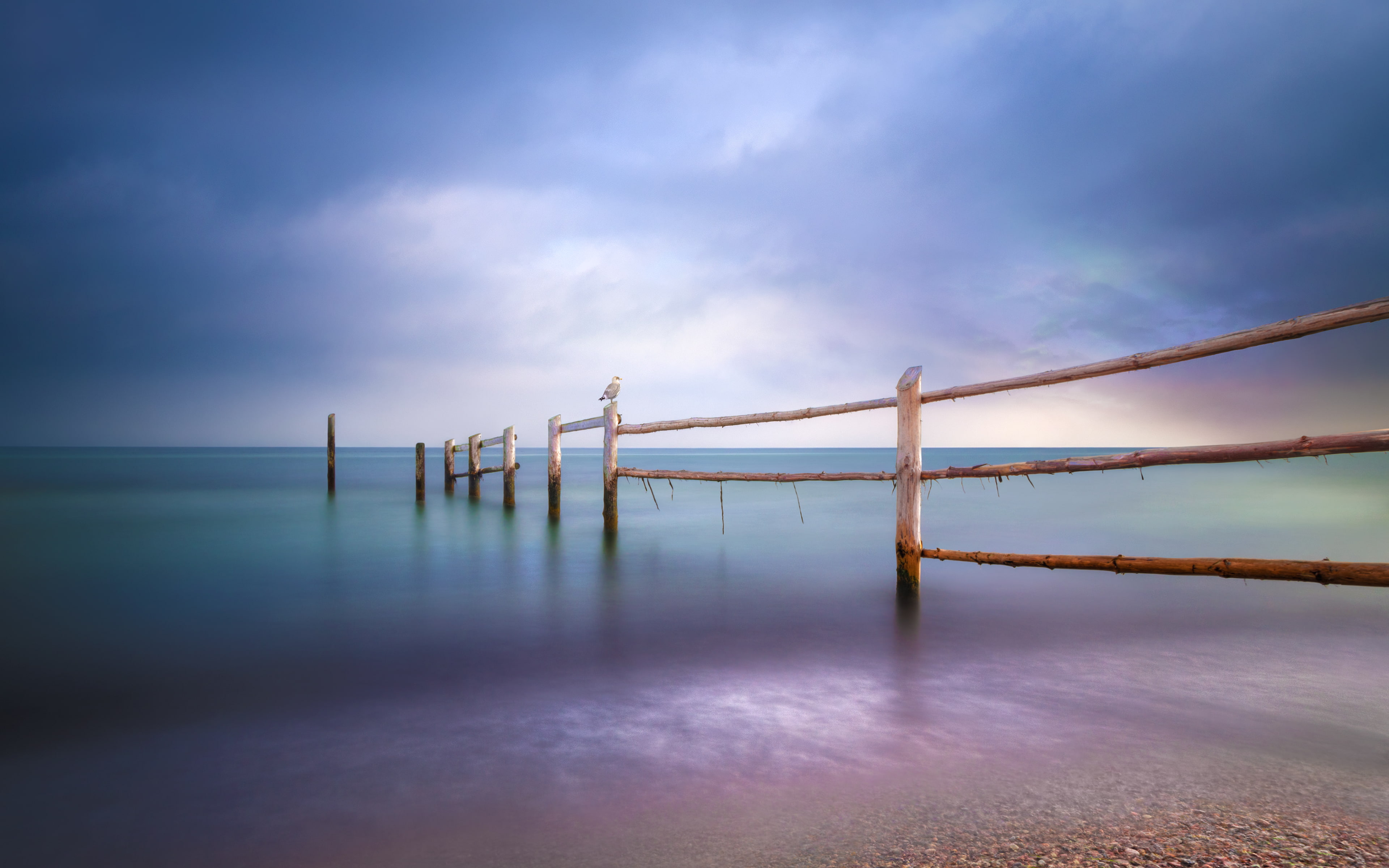 purple, nature, 4K, blue, green, seascape, balticsea, ocean, yearning, birds, costal, water, beaches, photography, perspective, sky, HD Wallpaper