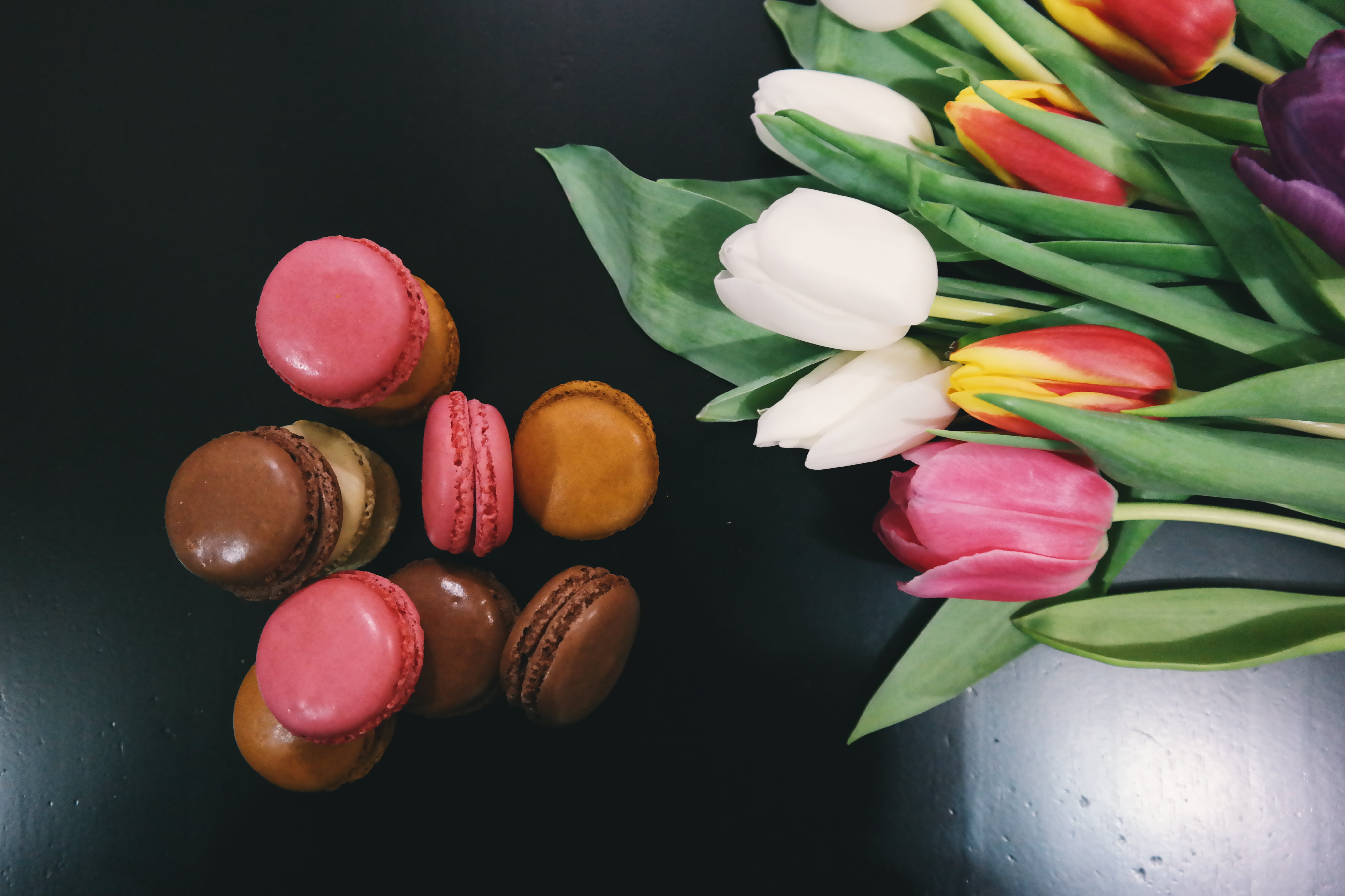 petal, plant part, pink color, macaroons, temptation, leaf, freshness, tulips, pink, beauty in nature, black background, french, nature, high angle view, HD Wallpaper