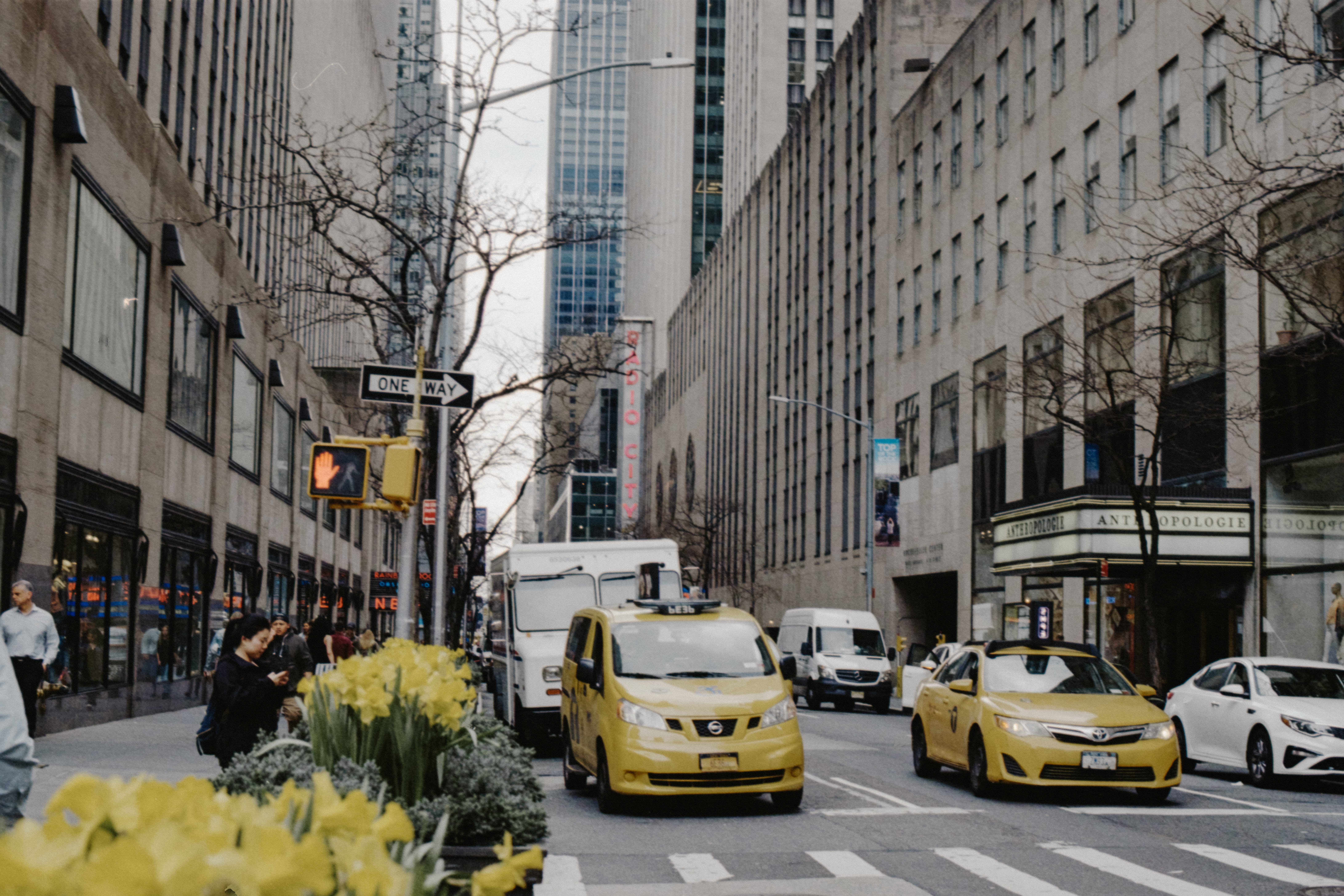 motor vehicle, car, incidental people, human, truck, office building exterior, traffic light, blossom, automobile, built structure, transportation, city street, HD Wallpaper