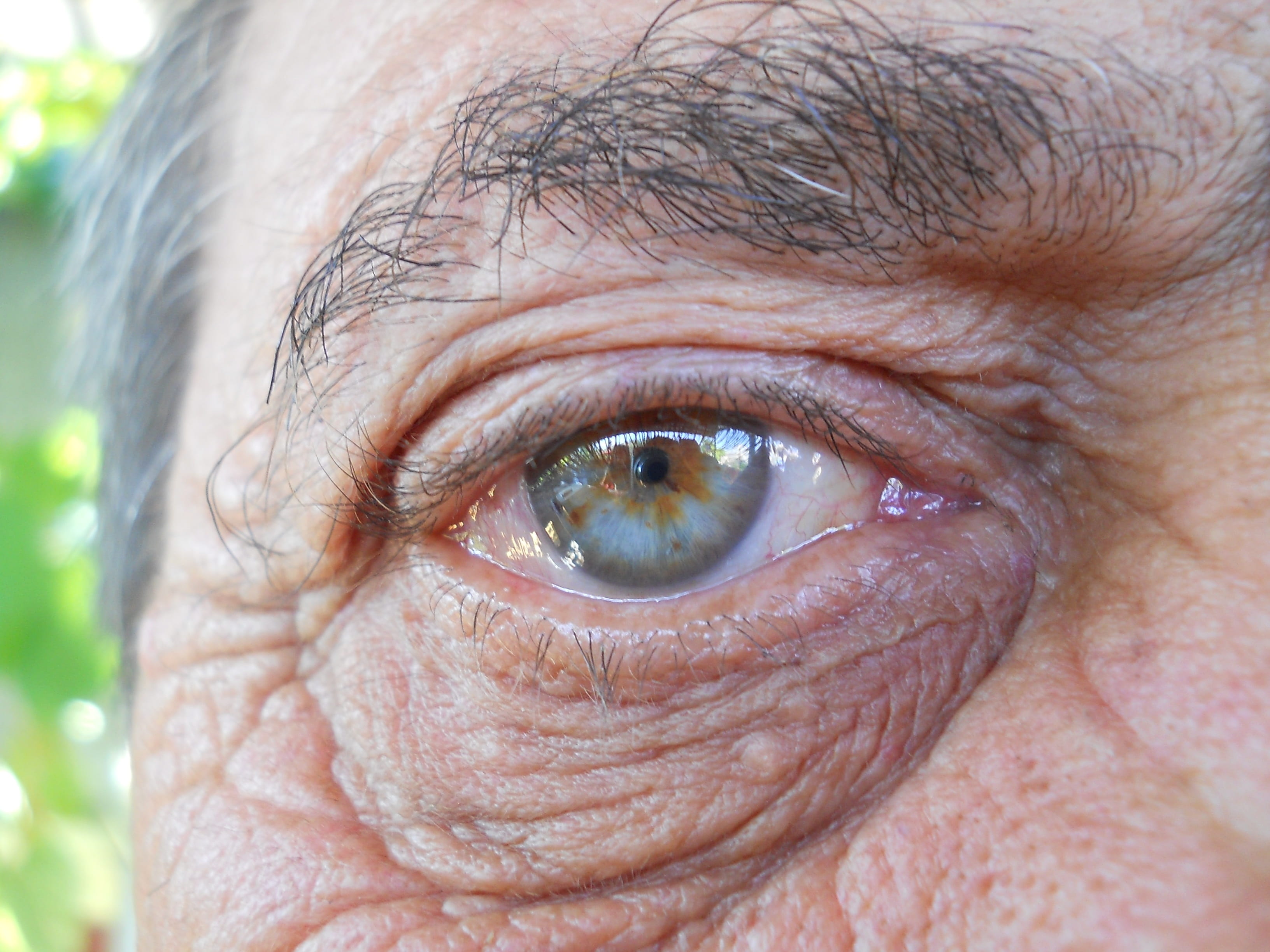 portrait, coloring, blue, age, gene, wrinkled, s, person, eye, sensory perception, human skin, body part, eyelid, sadness, close-up, iris - eye, right, HD Wallpaper