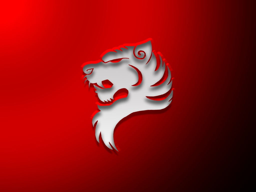 christmas, red background, simplicity, red, 480P, symbols, white color, animal, holiday, studio shot, representation, no people, food, single object, art and craft, HD Wallpaper