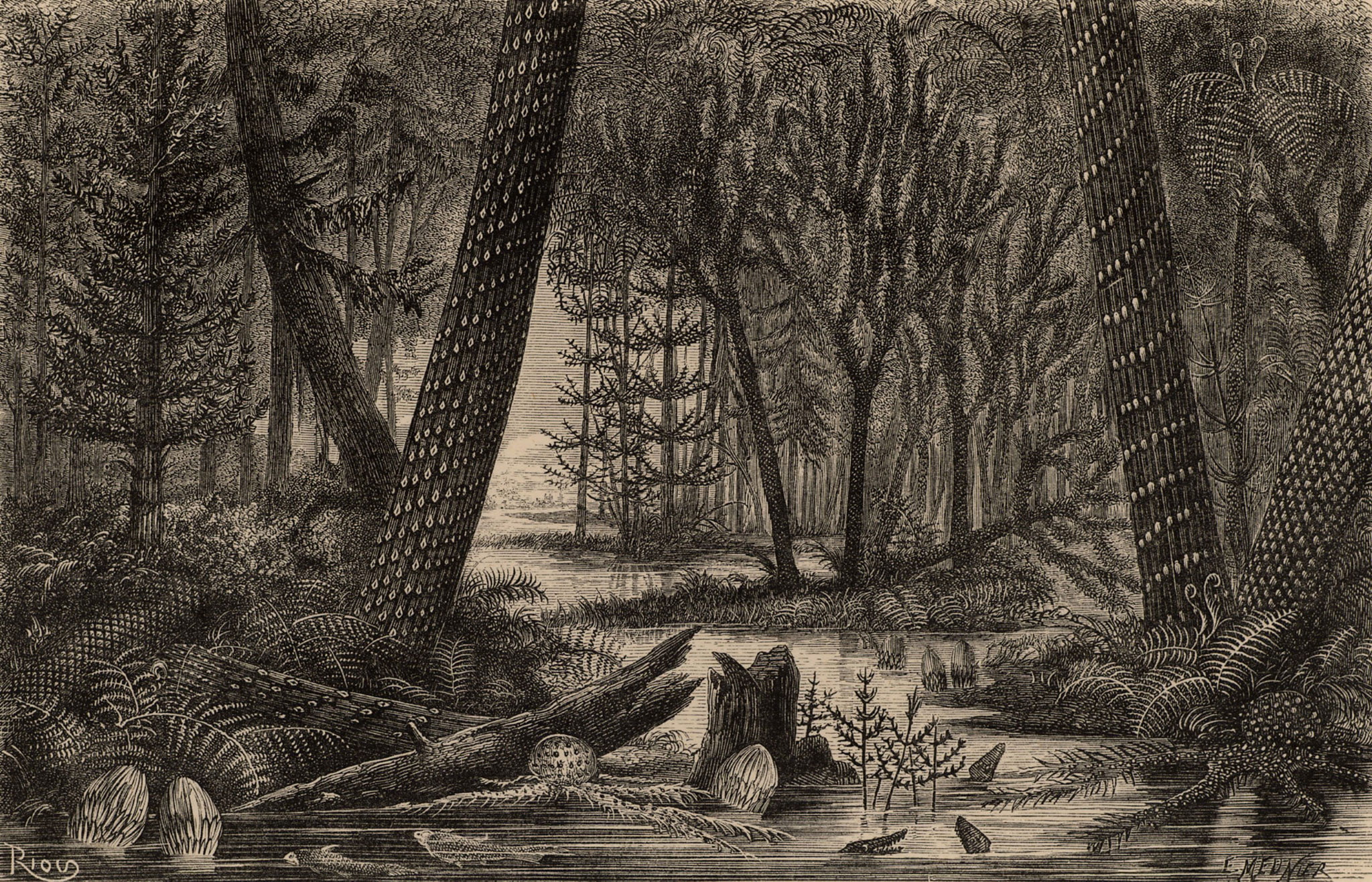 E. Meunier, sepia, 1080P, landscape, nature, plants, water, river, monochrome, Jungle, Trees, Engraving, Prehistoric, HD Wallpaper