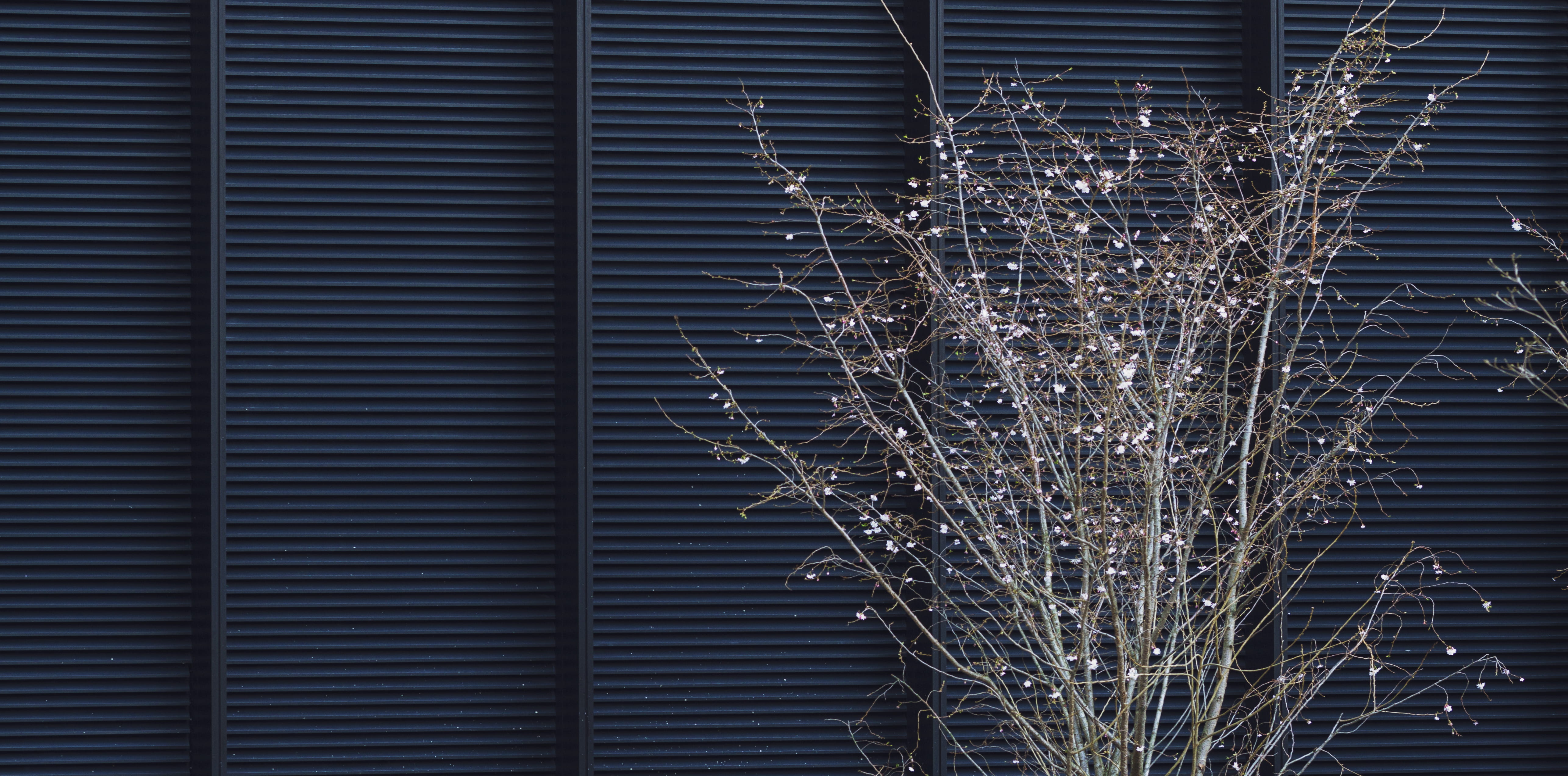 one creechurch place, backgrounds, fragility, bare tree, plants, icicle, metal, low angle view, brown, outdoors, winter, linen, close-up, curtain, wall, HD Wallpaper