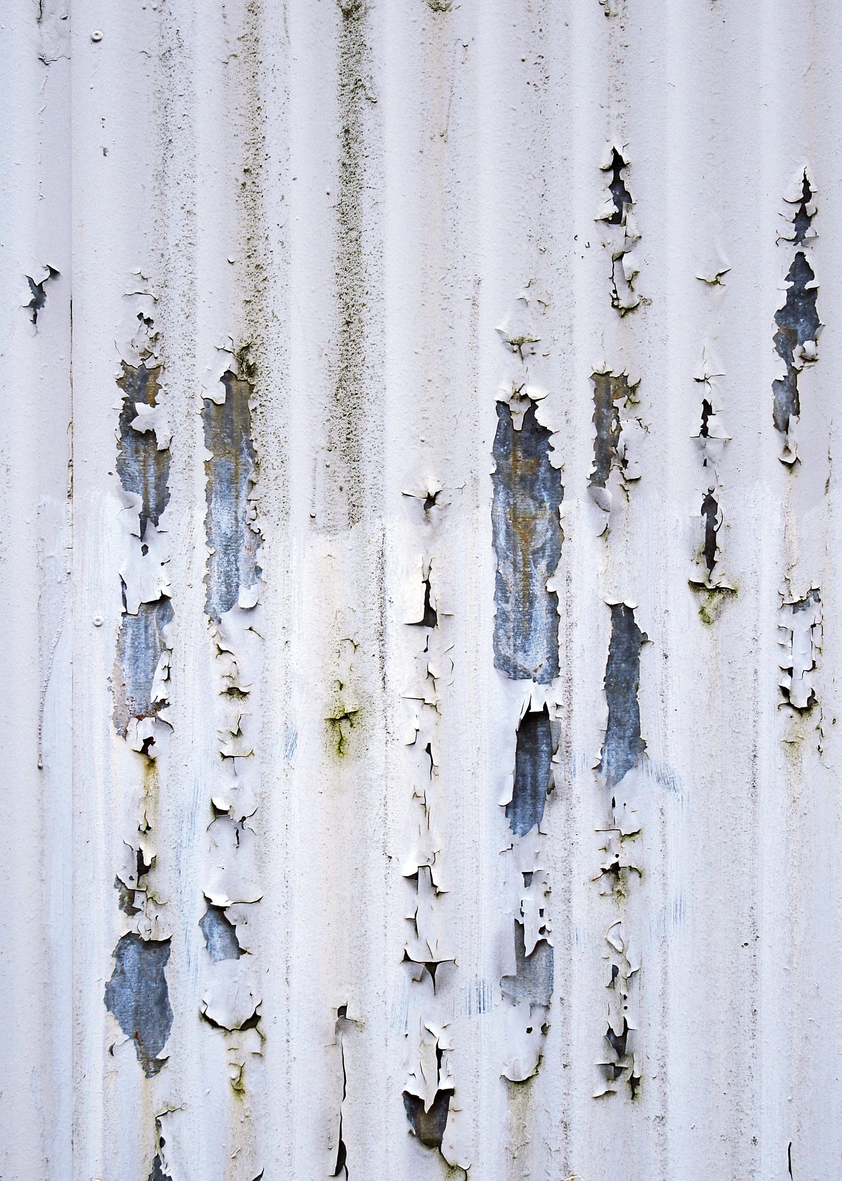 text, weathered, wall - building feature, peeling off, 4K, corrugated, nature, built structure, no people, plant, textured, run-down, concrete, ice, wood, Phone HD Wallpaper