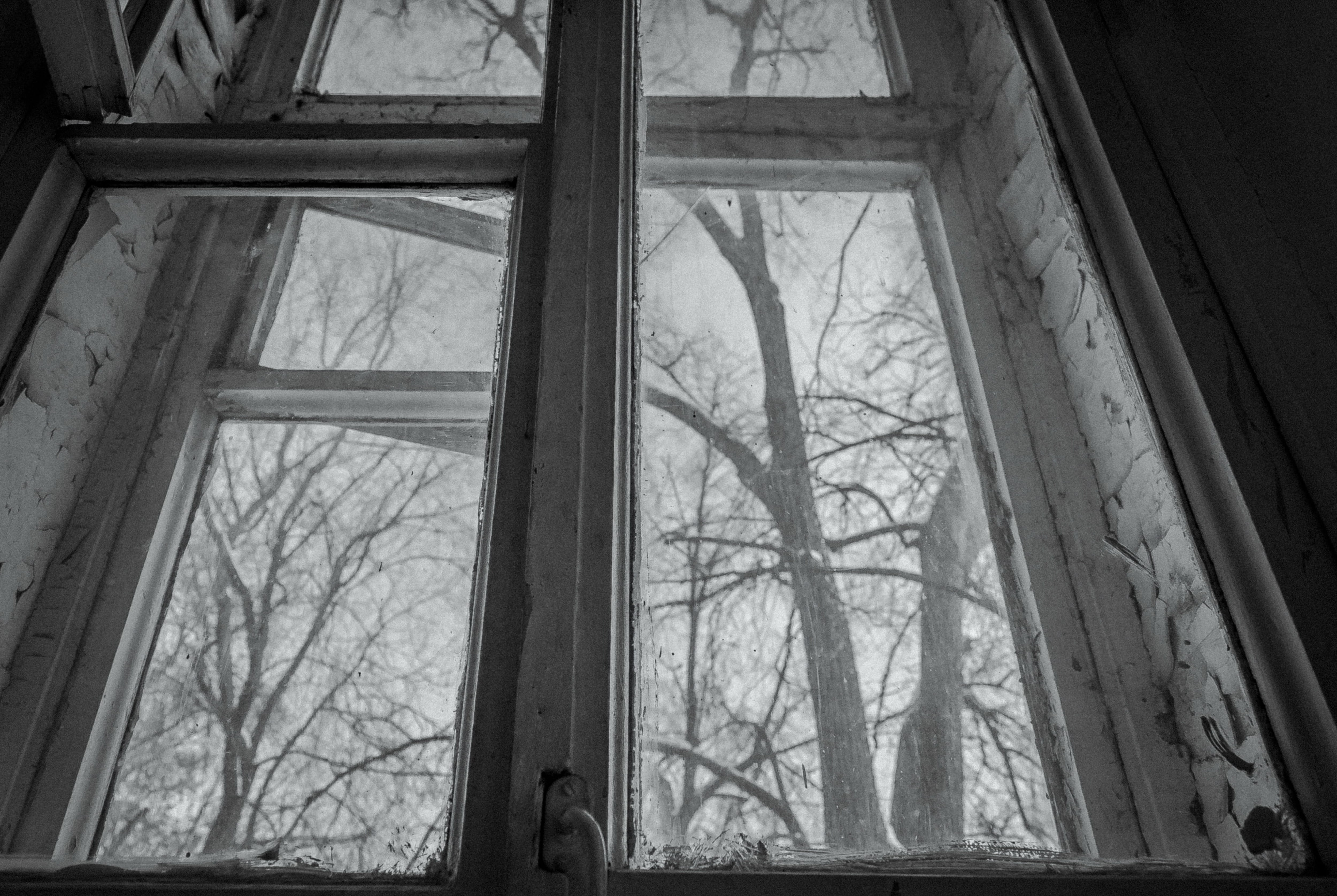 winter, window frame, light, white, nature, reflection, beyond, curtain, architecture, bare tree, home decor, 4K, picture window, snow, abandoned, photography, HD Wallpaper