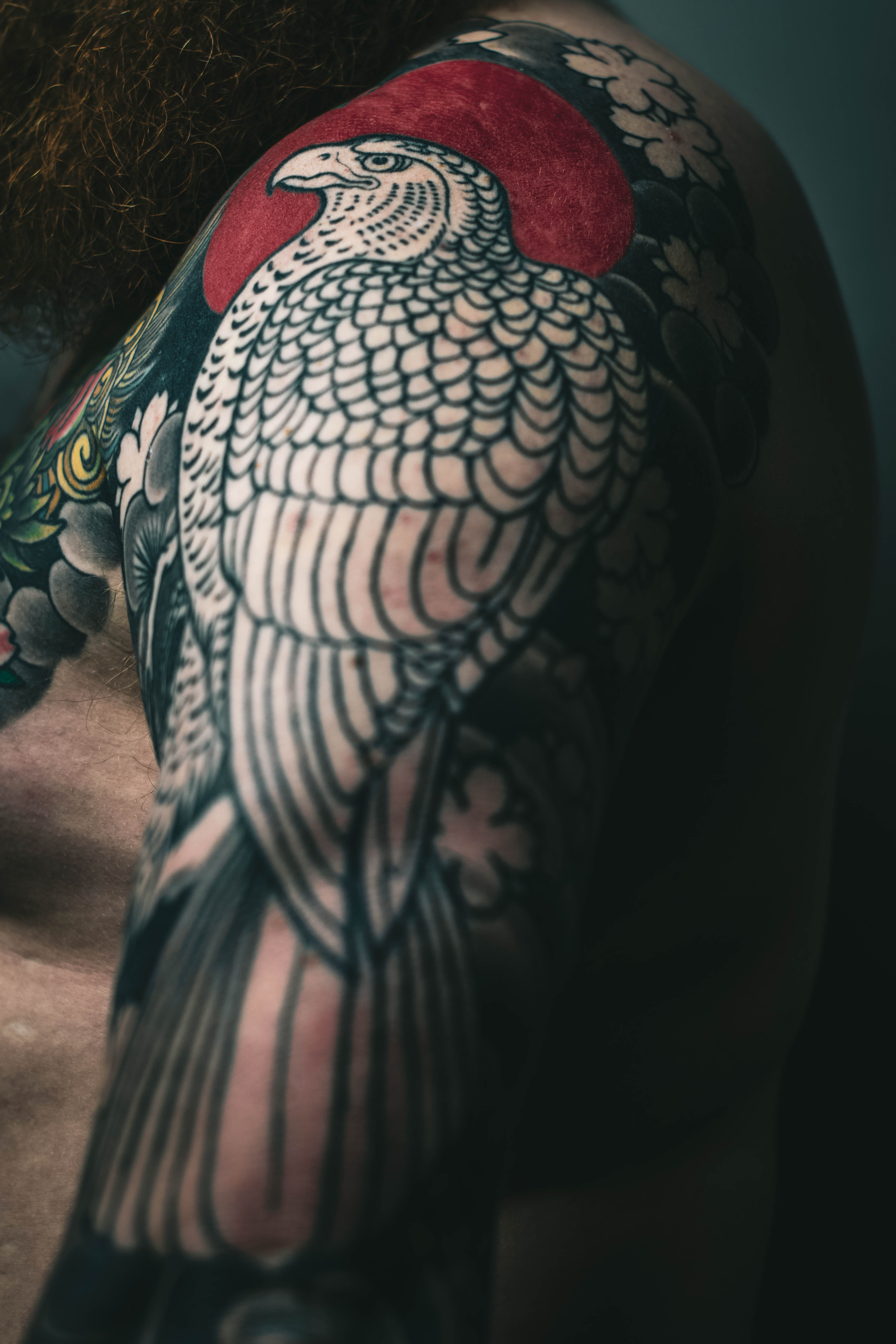 body part, human skeleton, one person, 5K, close-up, color, feather, tattoo, young adult, pattern, real people, tattooed, arm, human representation, leisure activity, Phone HD Wallpaper