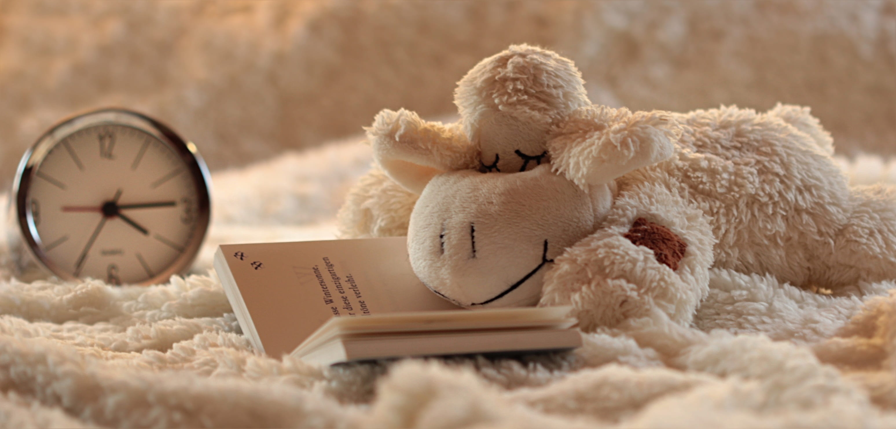 2K, alarm, no people, clock, snuggle, cozy, rug, tired, lamb, valentines day - holiday, indoors, studio shot, softness, stuffed animal, blanket, gray, HD Wallpaper