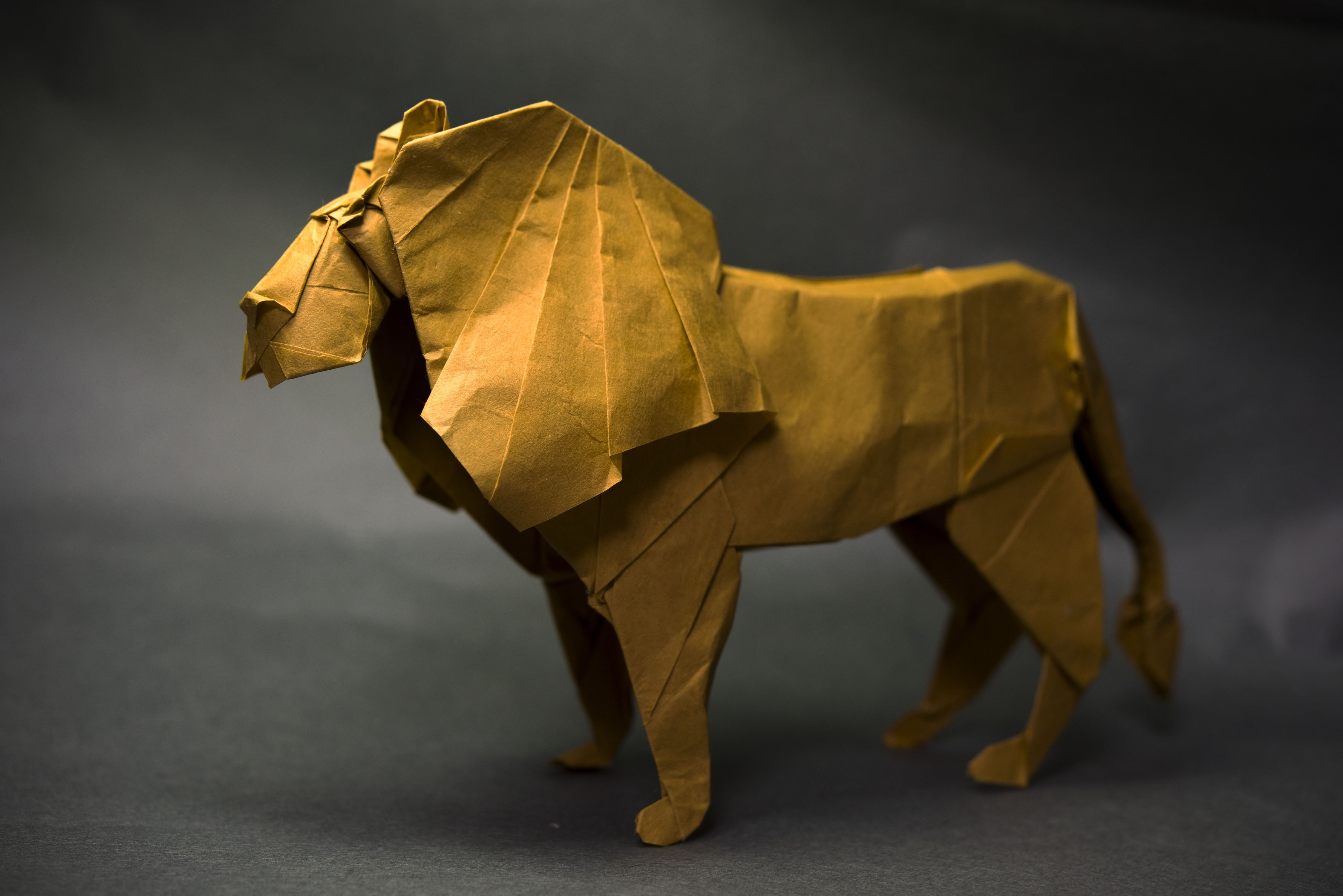 4K, Man Made, Lion, Origami, HD Wallpaper