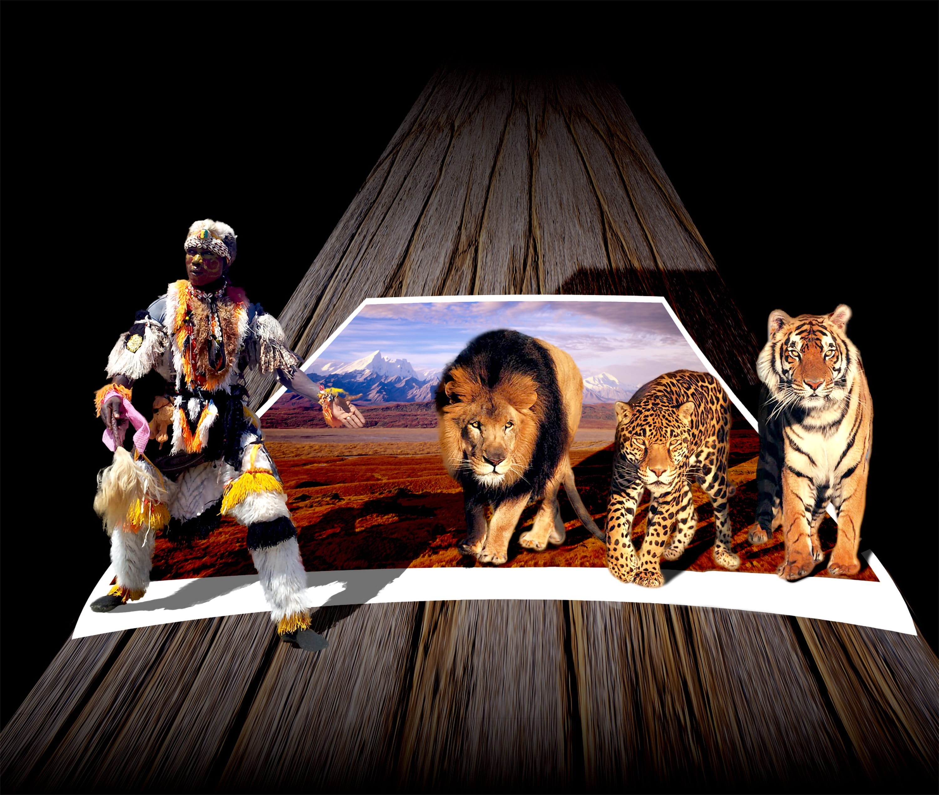 canine, one animal, wild, dangerous, pets, domestic, indoors, domestic animals, table, sitting, man, mammal, full length, 2K, animals, felines, representation, HD Wallpaper