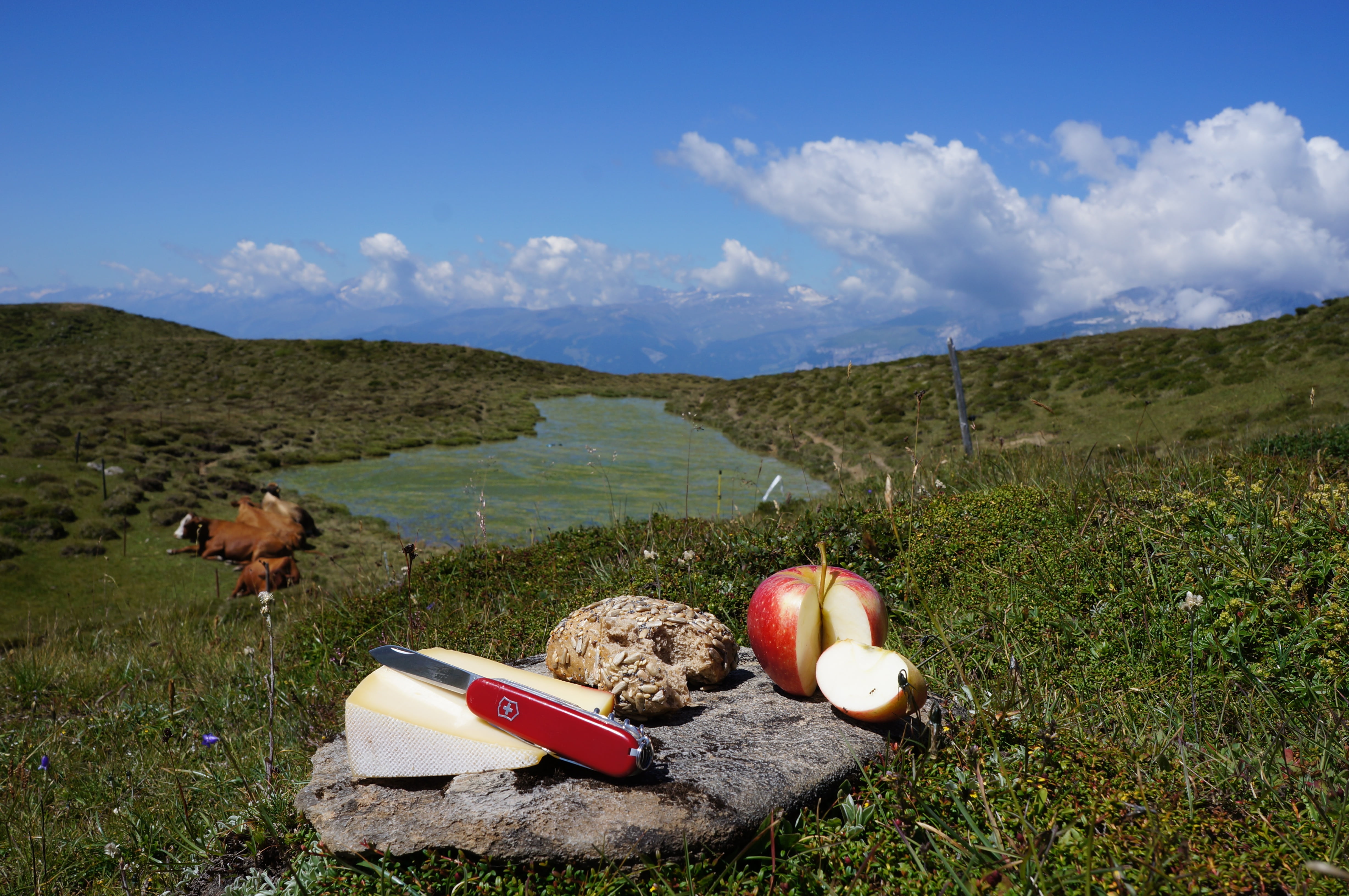 simply, jause, tranquility, lake, plant, nature, leisure, grass, apple, break, food, beauty in nature, landscape, pocket knife, scenics - nature, day, field, HD Wallpaper
