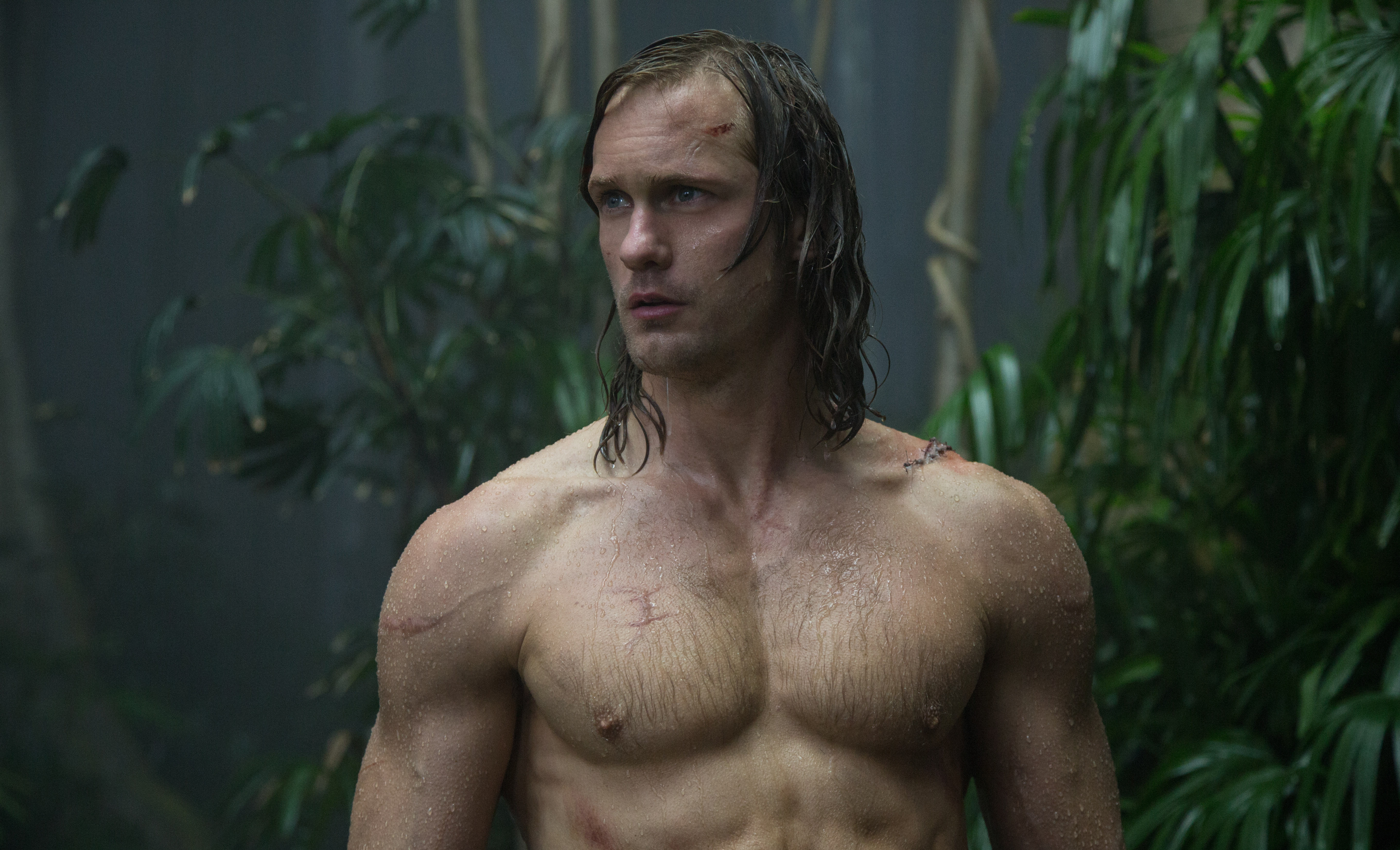 The Legend of Tarzan, 5K, Alexander Skarsgard, Tarzan, 5K, HD Wallpaper