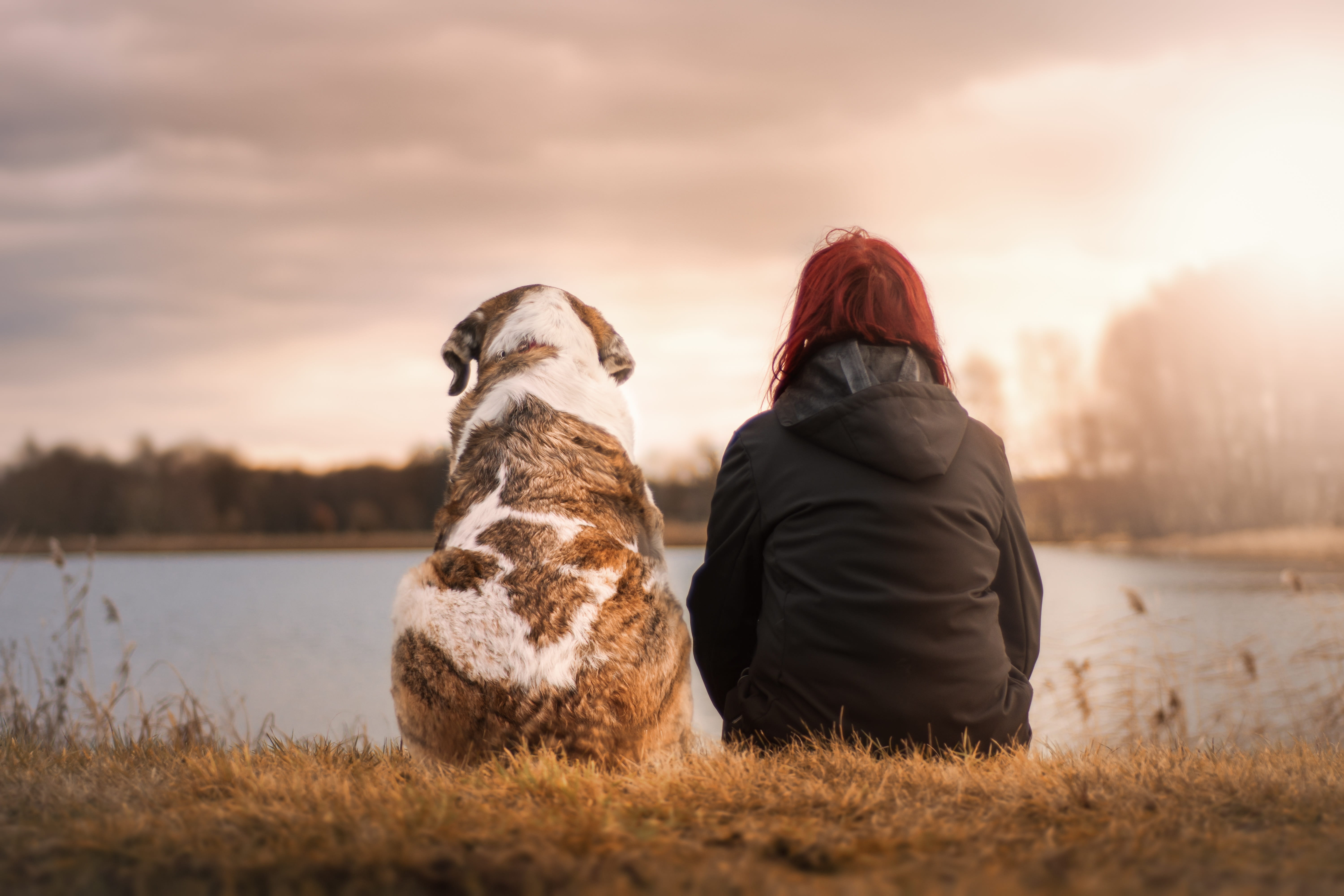 mammal, sunset, water, adult, cohesion, black, pet owner, human, best friends, jacket, sitting, camaraderie, domestic, wearing, hood - clothing, pets, 5K, HD Wallpaper