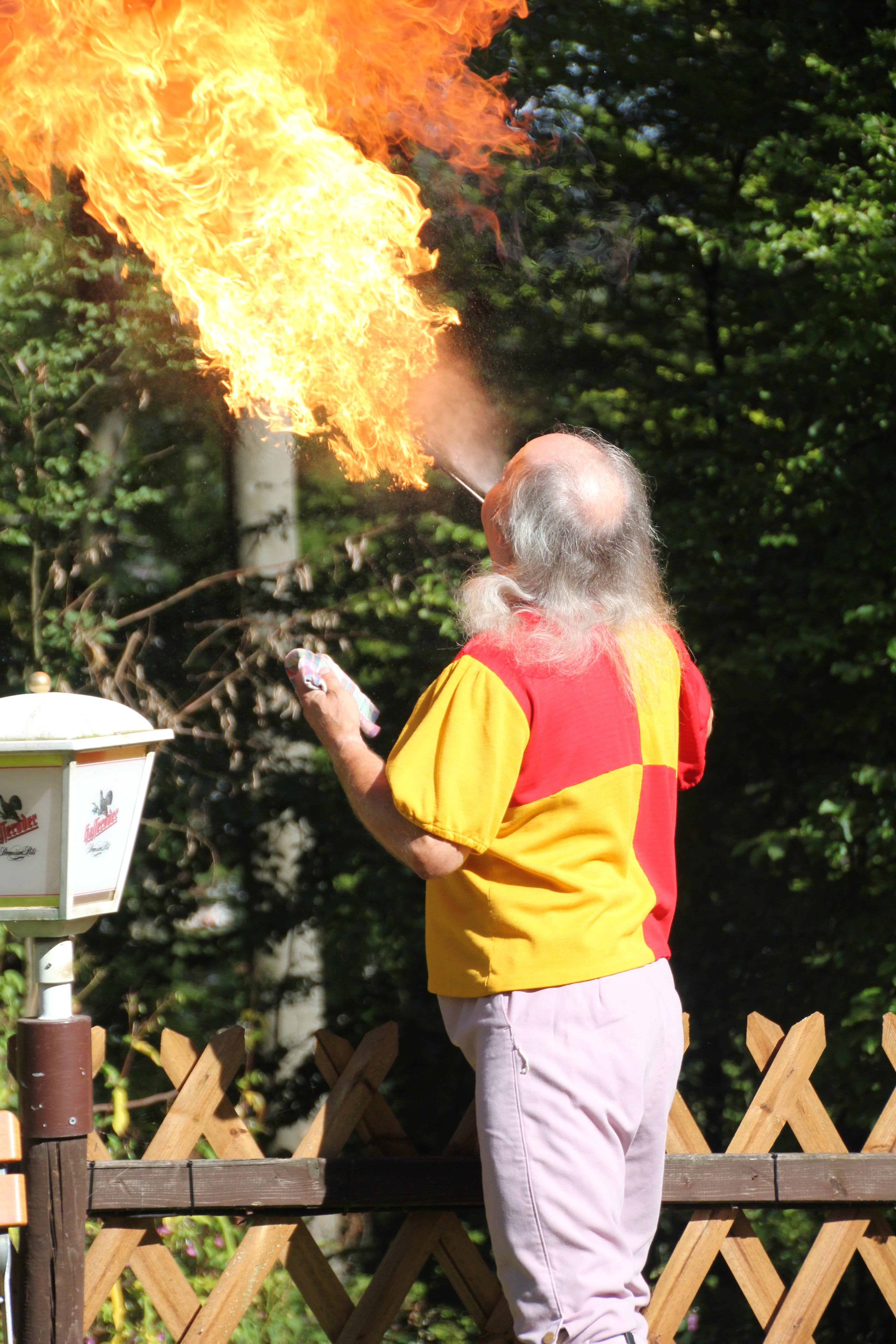 man, tree, 5K, males, stage, fire, art, theater, fire eaters, holding, flame, burning, party, senior men, nature, outdoors, hot, person, real people, heat - temperature, Phone HD Wallpaper